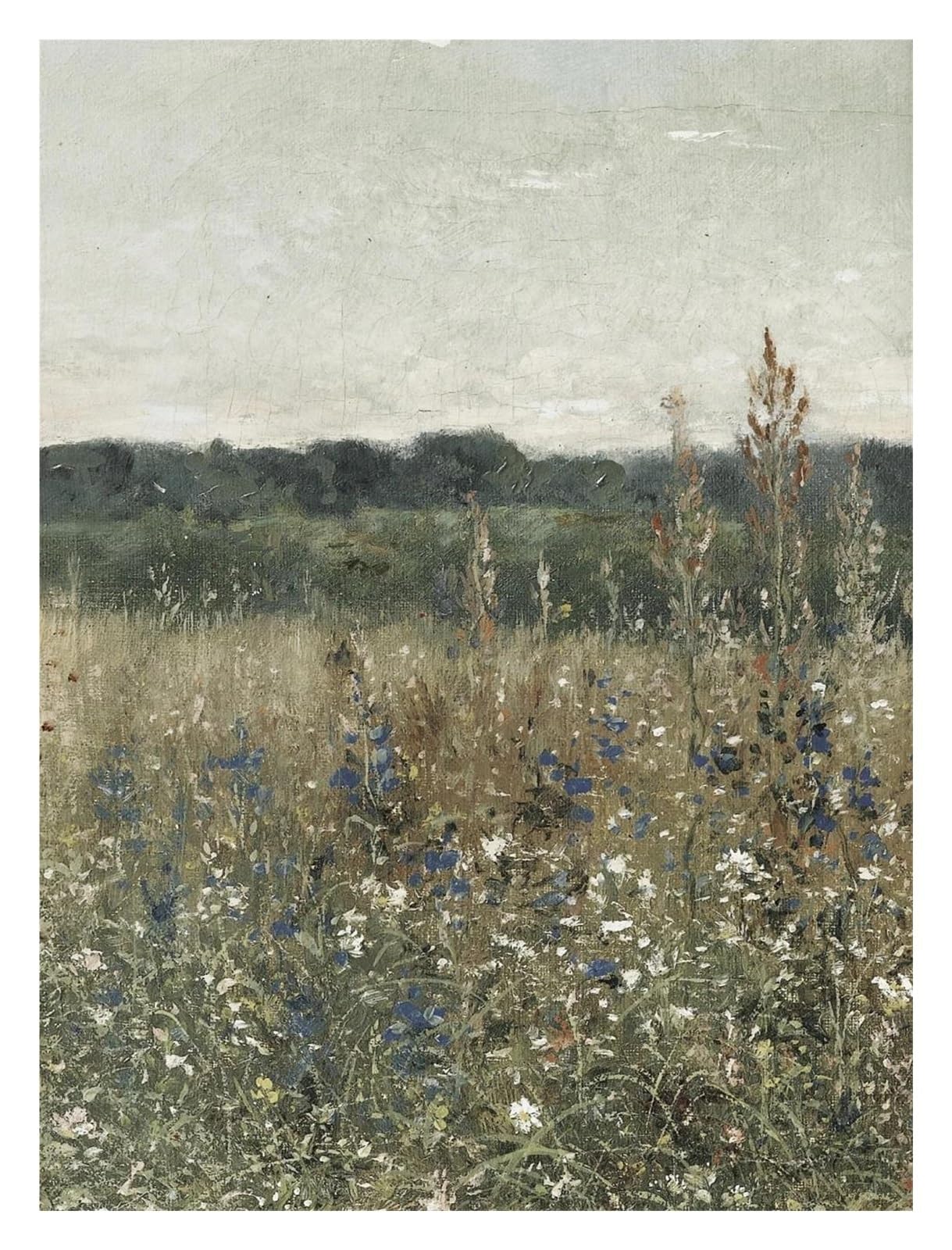 Xenite C Wall Art Anvas Prints Wildflower Field Poster Prints Landscape Sketch Neutral Forest Anvas Painting For Living Room Home Farmhouse Decoration(,40X60cm)