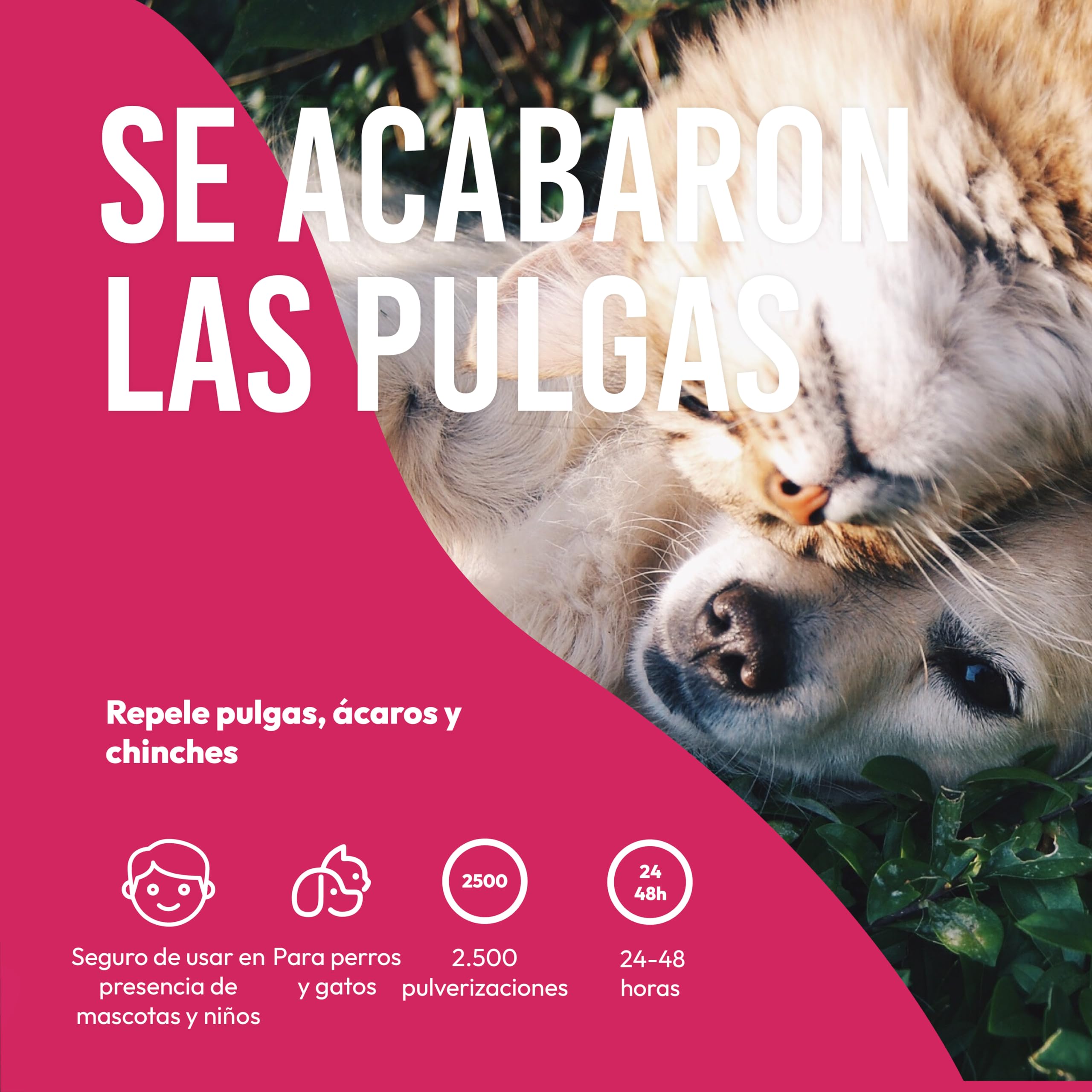 Petsly® Spray Antipulgas para Perros y Gatos -500ml- No Mancha - Antiparasitario Perros con Geraniol - Tratamiento Anti Pulgas, Garrapatas y Ácaros para el Hogar, Muebles y Textiles - Antipulgas Gatos