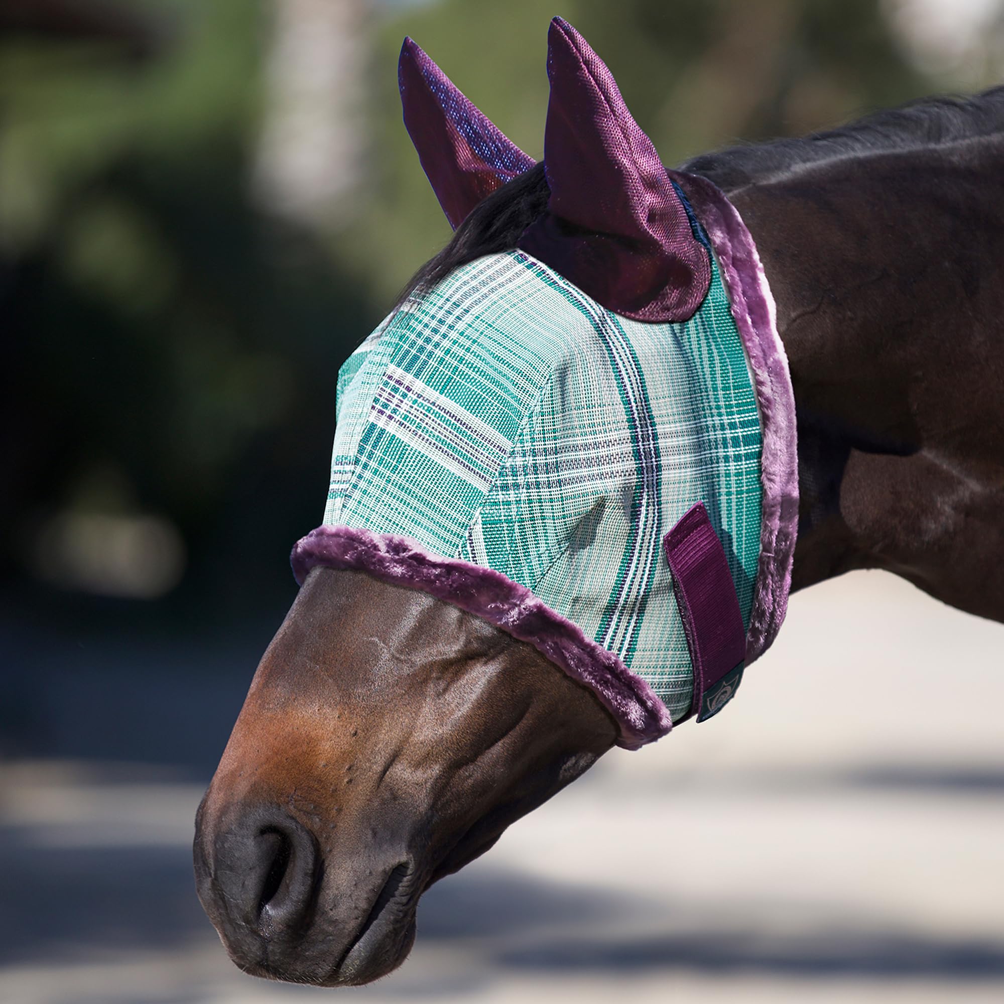 Kensington Fly Mask with Fleece Trim and Ears with Forelock Hole
