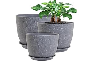 12/10/9 Large Modern Plant Pots that Elevate Your Home Decor