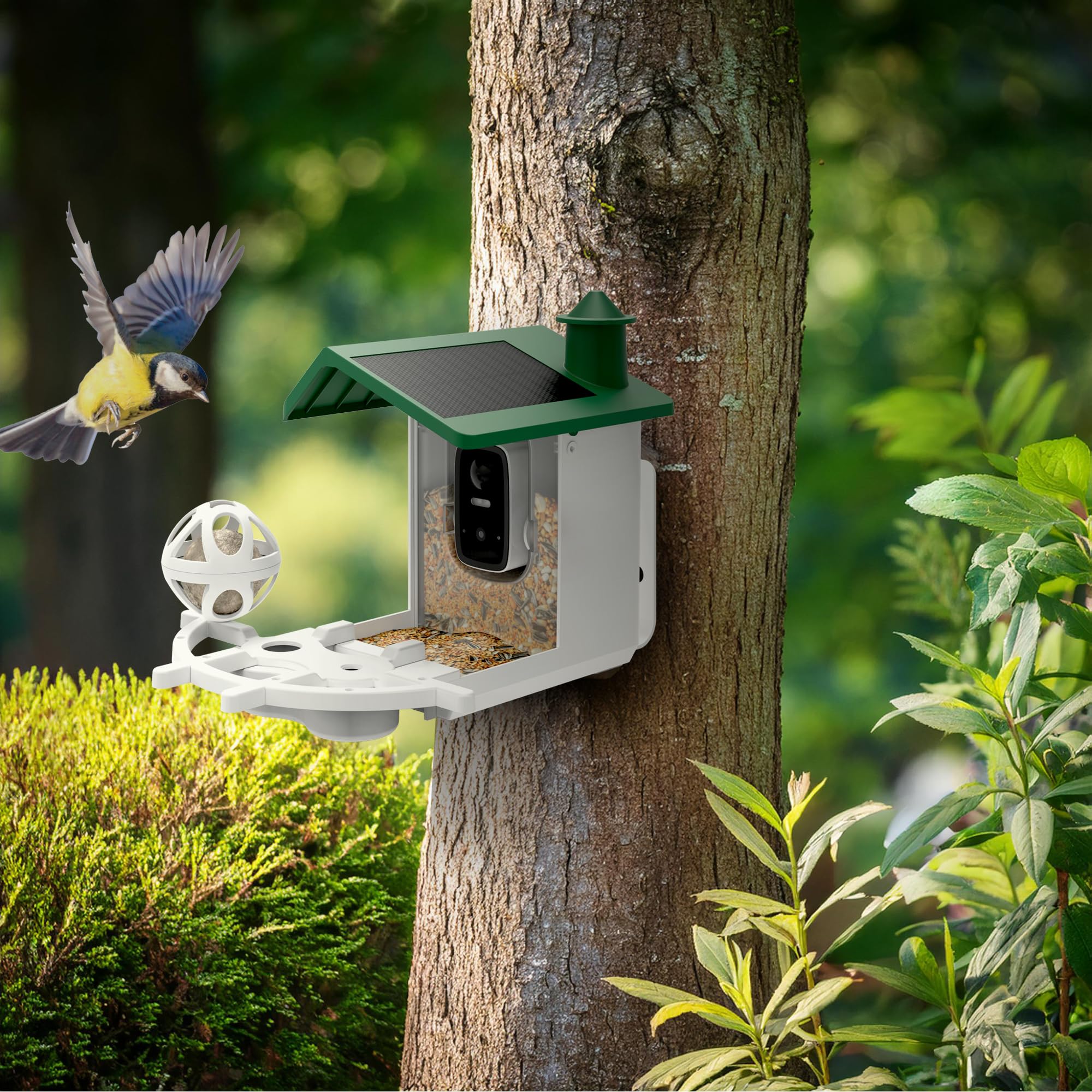Avidsen Intelligentes Vogelhaus mit WLAN-Kamera, Full HD 1080p, Solarbetrieb, 2L Futterspender, Nachtsicht, Zwei-Wege-Audio, IP65, App-Steuerung, Grün