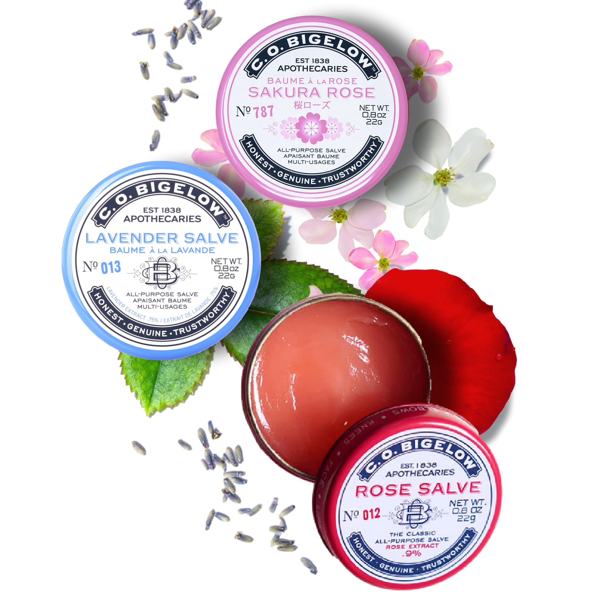 Amazon.com: CO Bigelow: Lip Care