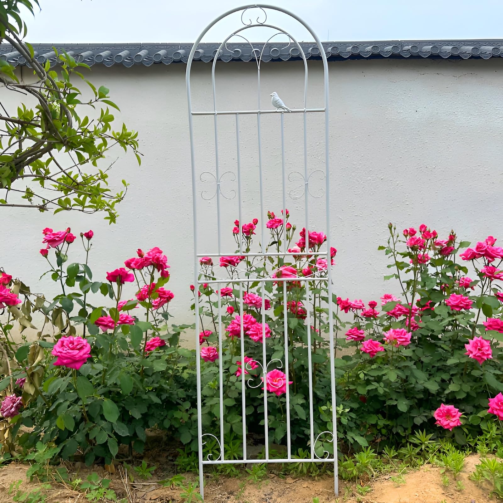 Rankhilfe Edelstahl 50x200cm Rankhilfe Kletterpflanzenstütze Rostfrei Pflanzenstütze für Rosen und Reben Höhenverstellbar 90-220cm Weiß Gartenbogen
