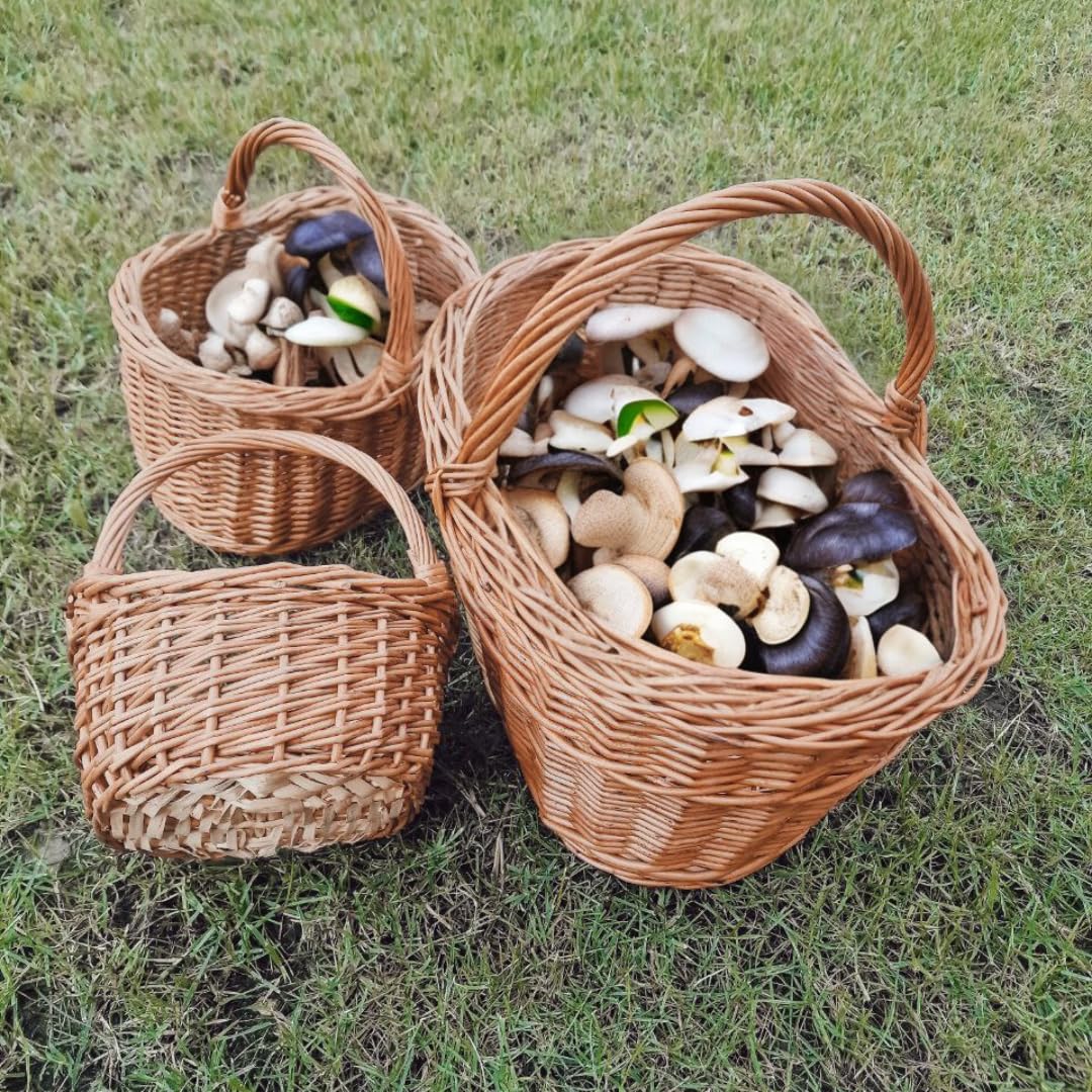 Cesto in vimini intero per la raccolta funghi e frutti, interamente realizzato a mano, robusto e di origine europea, 43x32xh25