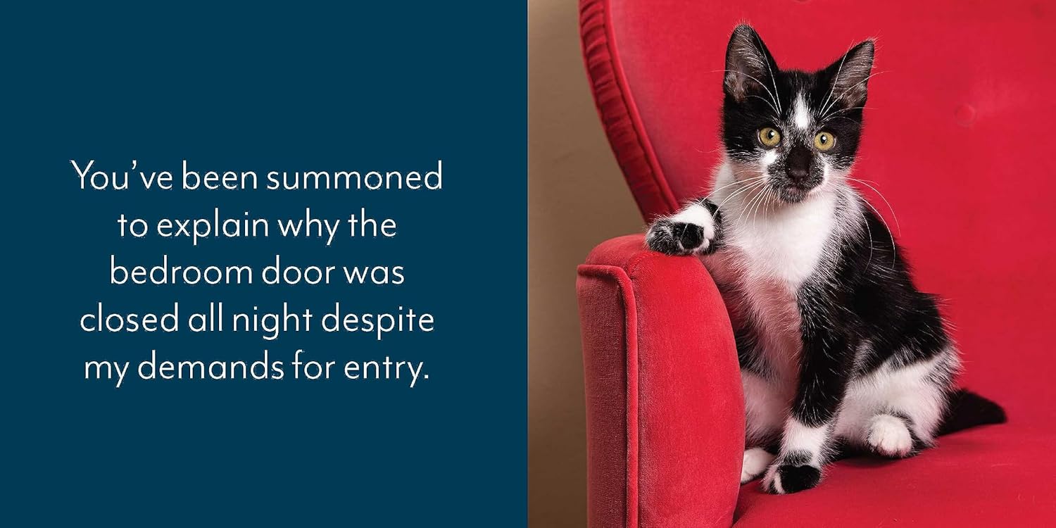 Let Me Knock That Off the Counter for You: And More Everyday Sass from Cats (Fun Gifts for Animal Lovers) - Image 6