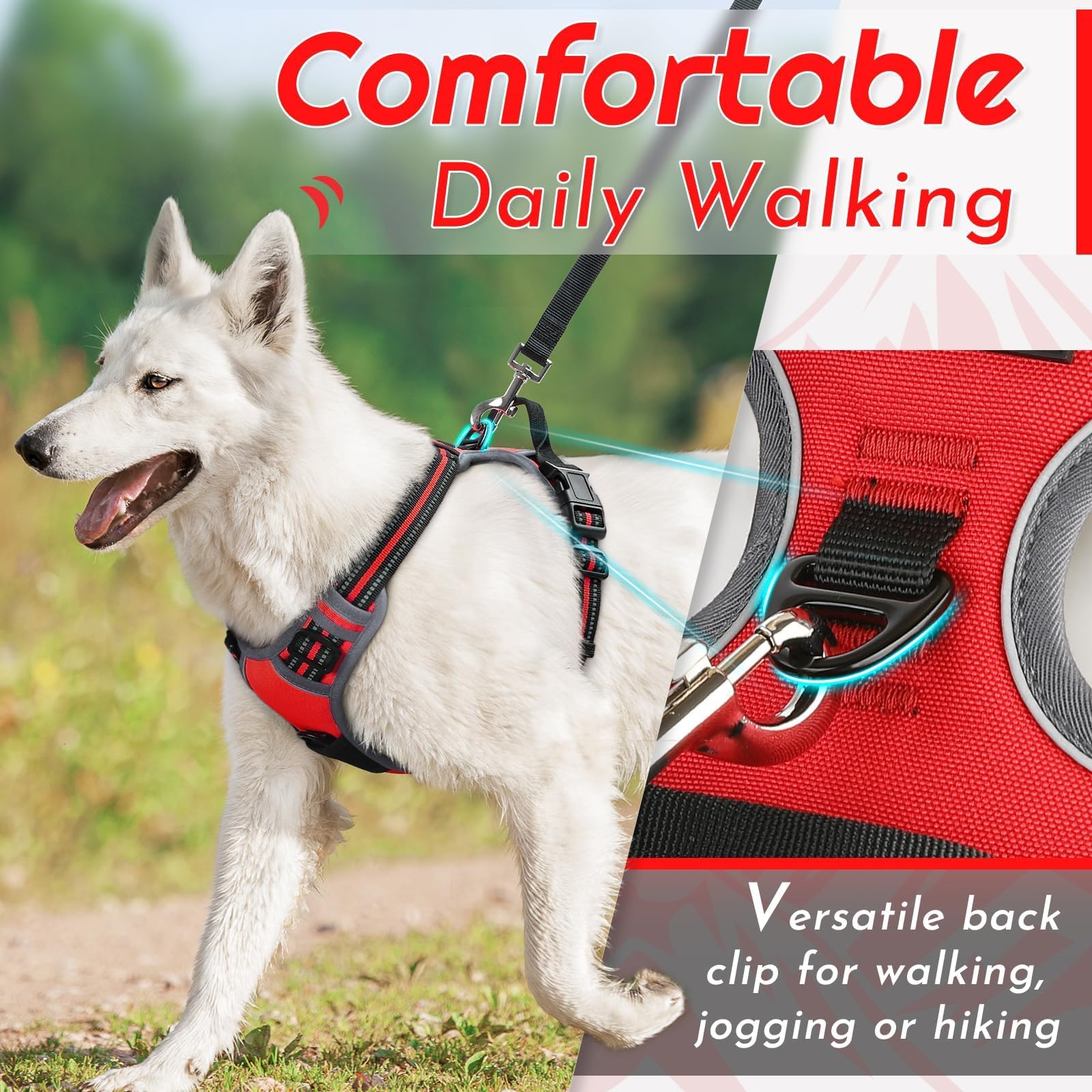 Eagloo Pettorina Cane Taglia Piccola, Pettorina ad h Antifuga, Imbracatura per Cani Anti Tiro con Doppio Gancio, Imbracatura Robusto e Regolabile per Addestramento Passeggiate, S, Rossa