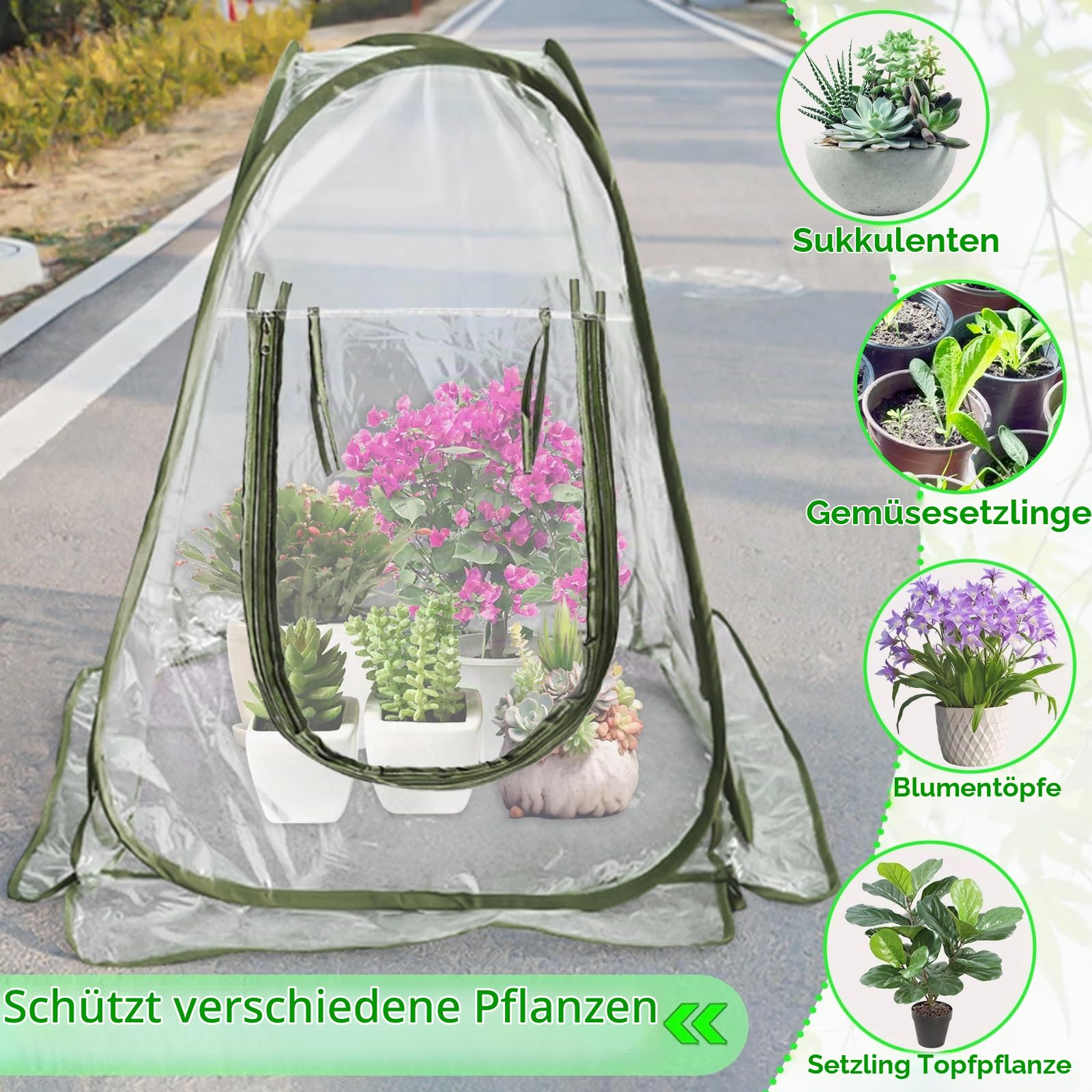 Gewächshaus Klein, Überwinterungszelt für Pflanzen, Winterschutz für Pflanzen Zelt, Transparentes PVC Pop Up Mini Gewächshaus Pflanzenschutz Winter 