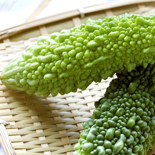 Miniatura 6 de CHUXAY GARDEN Semilla de calabaza amarga larga japonesa 25 semillas beneficios para la salud vegetal verde comestible gran cosecha alimenticia