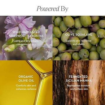 Furtuna Skin Cleansing Oil Balm - Luxurious Vegan Makeup Remover & Skin Nourisher, Olive Oil & Wild Organic Plants Blend, 80g