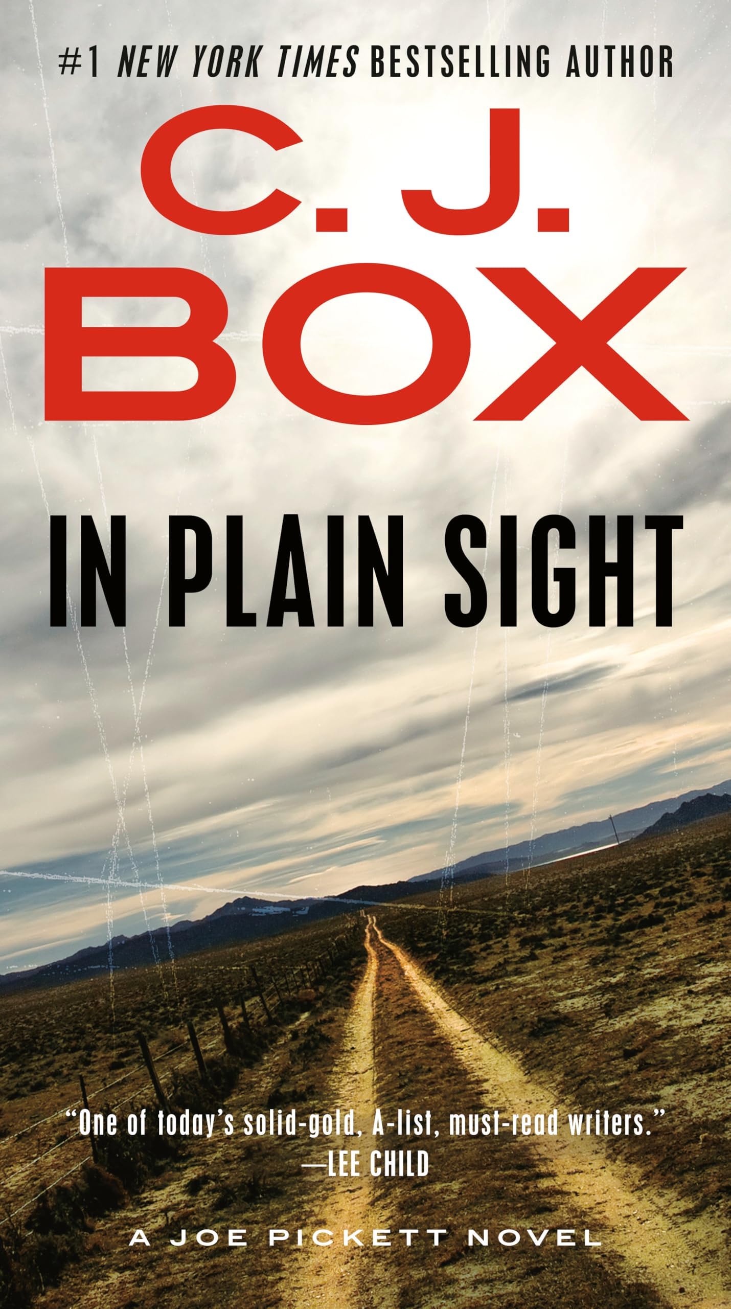 - In Plain Sight (A Joe Pickett Novel)