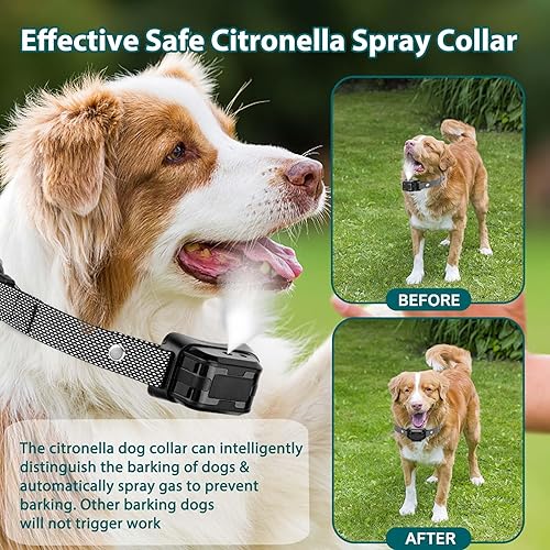 Miniatura 2 de Collar de corteza de citronela para perros, sin control remoto Collar de entrenamiento para perros en aerosol, collares de ladridos de citronela