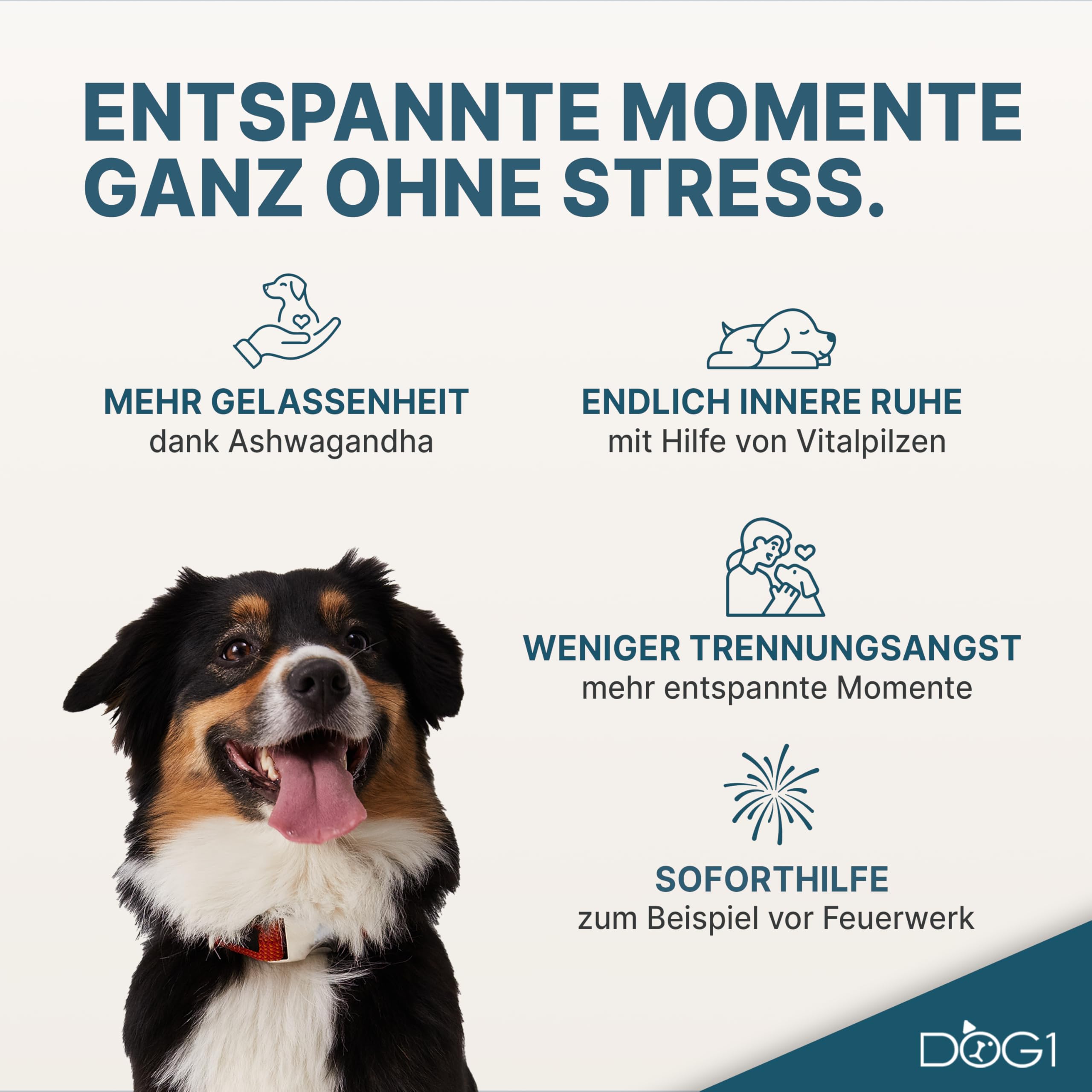 DOG1 Beruhigungsmittel für Hunde – Beruhigungssnack mit Baldrian, Ashwagandha & L-Tryptophan – Natürlich gegen Stress, Angst & Unruhe – für Silvester, Autofahrt, Gewitter – 280g Made in Germany