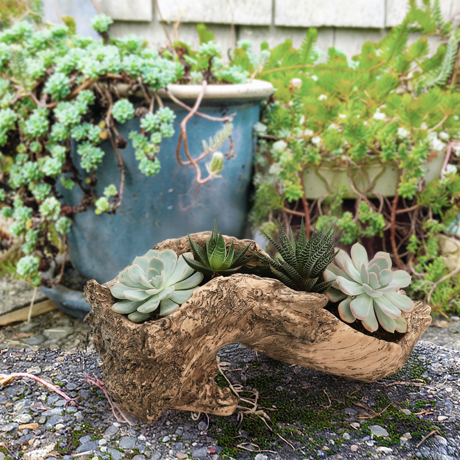 Amazon.co.jp: Pumtus 人工流木プランター 彫刻樹脂 多肉植物