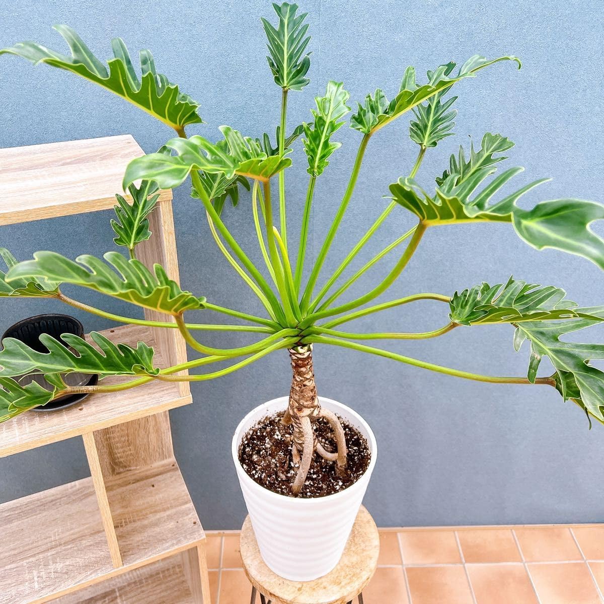 駅スタンプBセット ポストカードケース入り 駅スタンプBセット ポスト