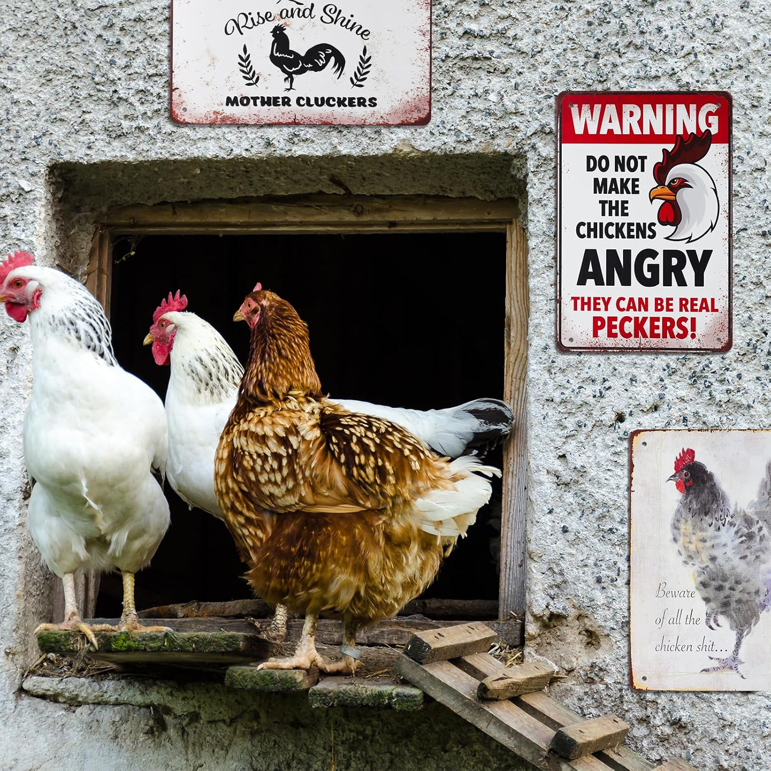 8 Pack Chicken Coop Accessories - Funny Chicken Signs and Metal Plaque Signs for Outdoor, 8x12 Inch - Image 5