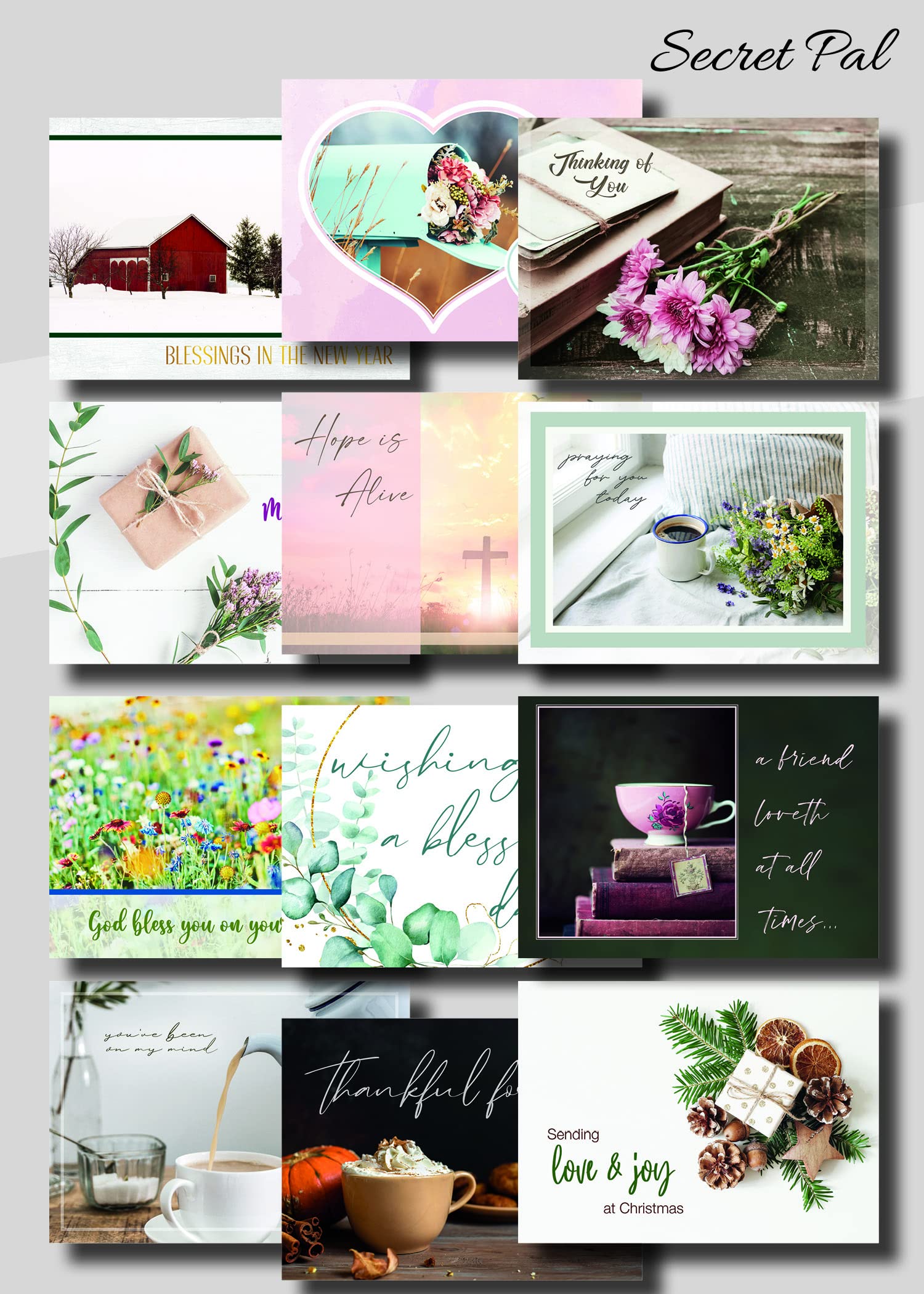 HTL Card-Boxed-Secret Pal-Secret Sister-Year of Cheer (Box of 12)