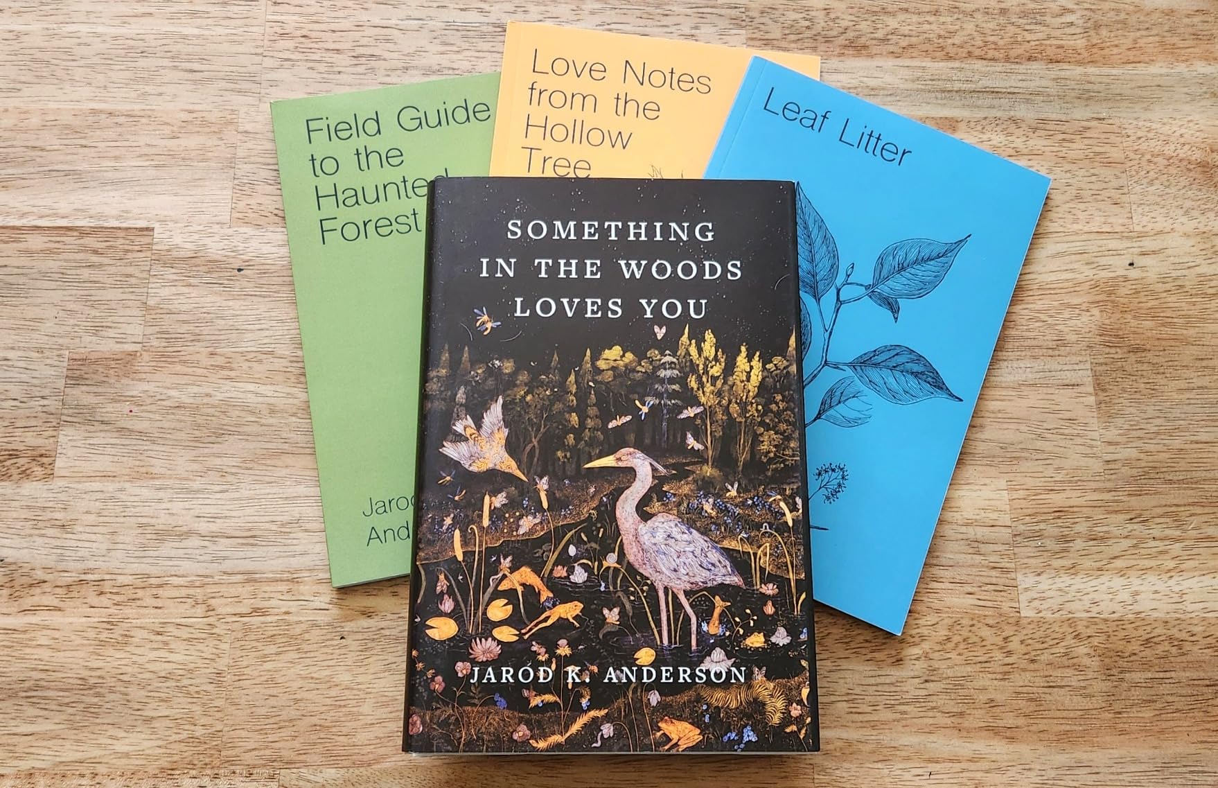 Something in the Woods Loves You Anderson, Jarod K. 9781643262291