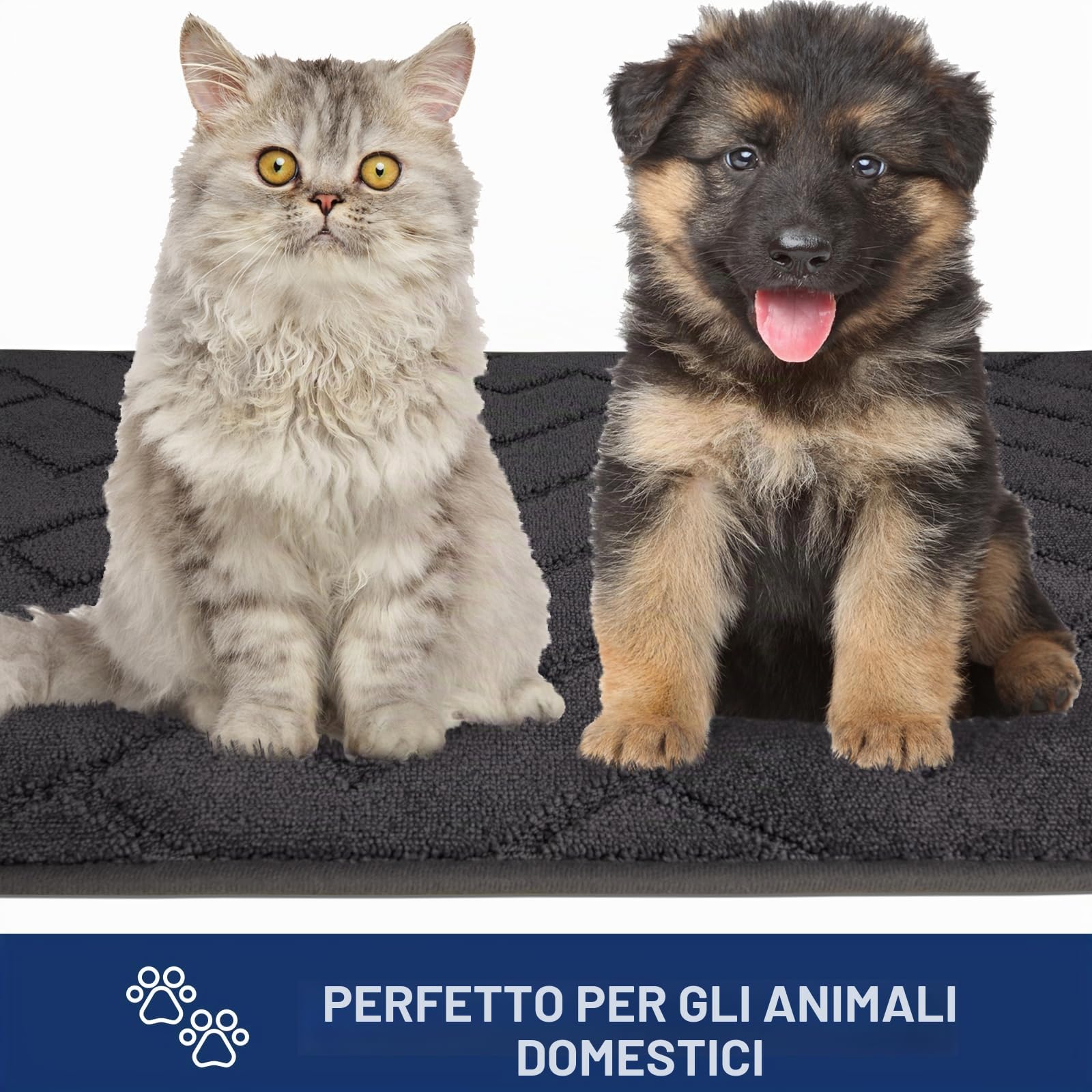 FCSDETAIL Zerbino Interno 80 x 120 cm, Tappetino Antiscivolo e Lavabile in Lavatrice, Tappetino d'Ingresso Assorbenti per Cane, Ingresso, Porta e Corridoio