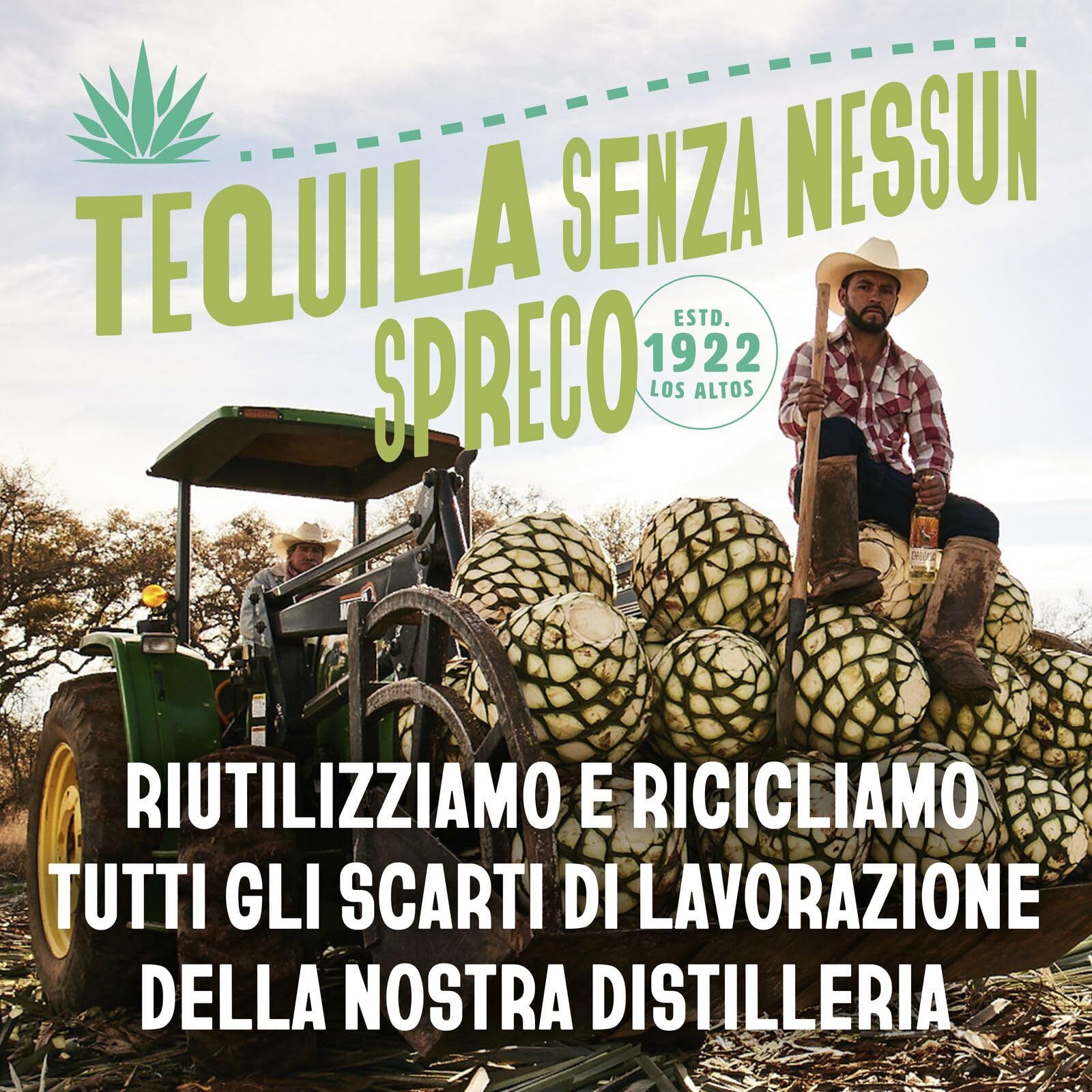 Cocktail Margarita CAZADORES pronto da bere, senza glutine e con aromi naturali, 5% ABV, 12 x 25cl / 250ml