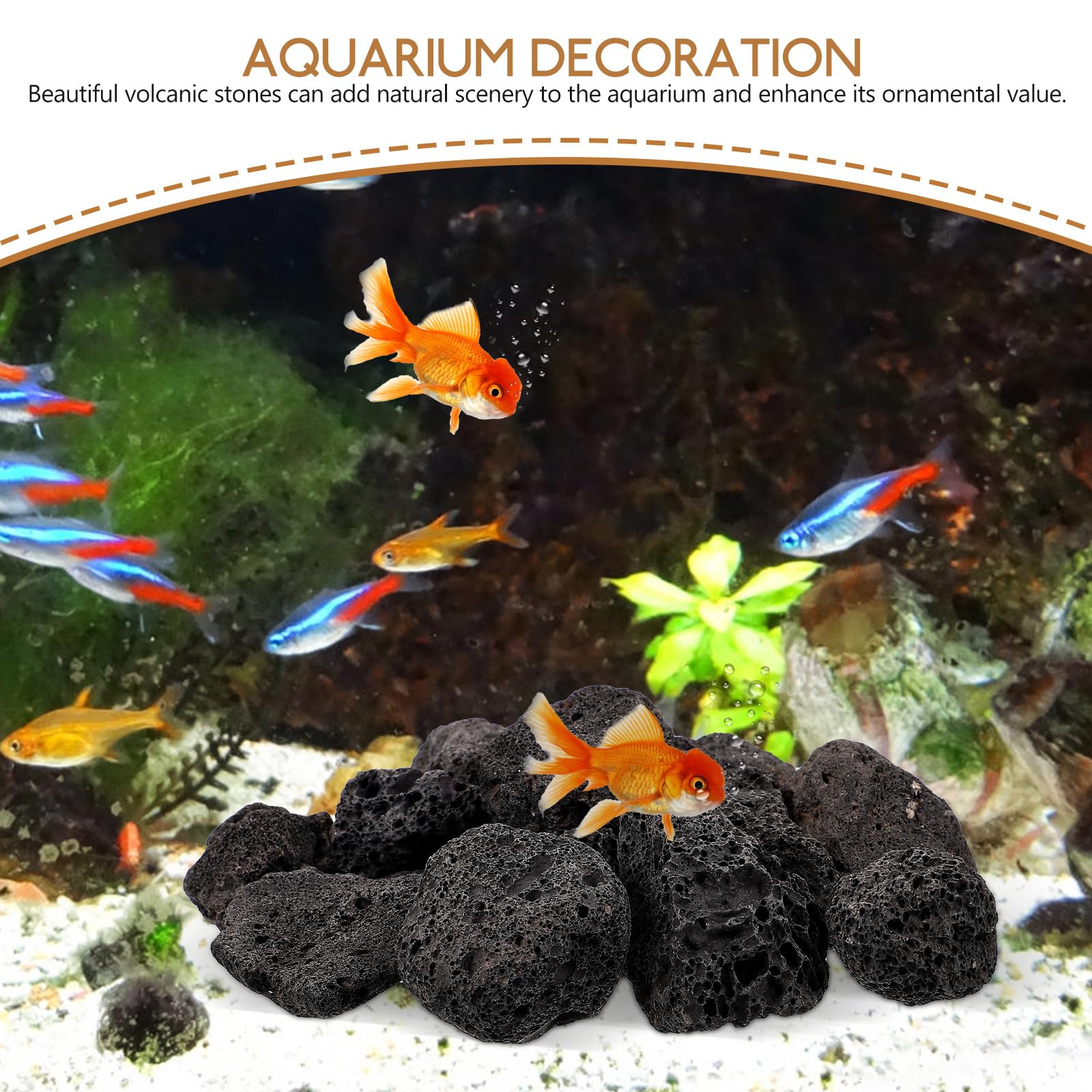BESPORTBLE Aquarium Stones Fish Tank Rocks Black Aquarium Rocks Natural Rock for Aquarium Fish Tank Landscaping 200g (2-4CM) - Image 4
