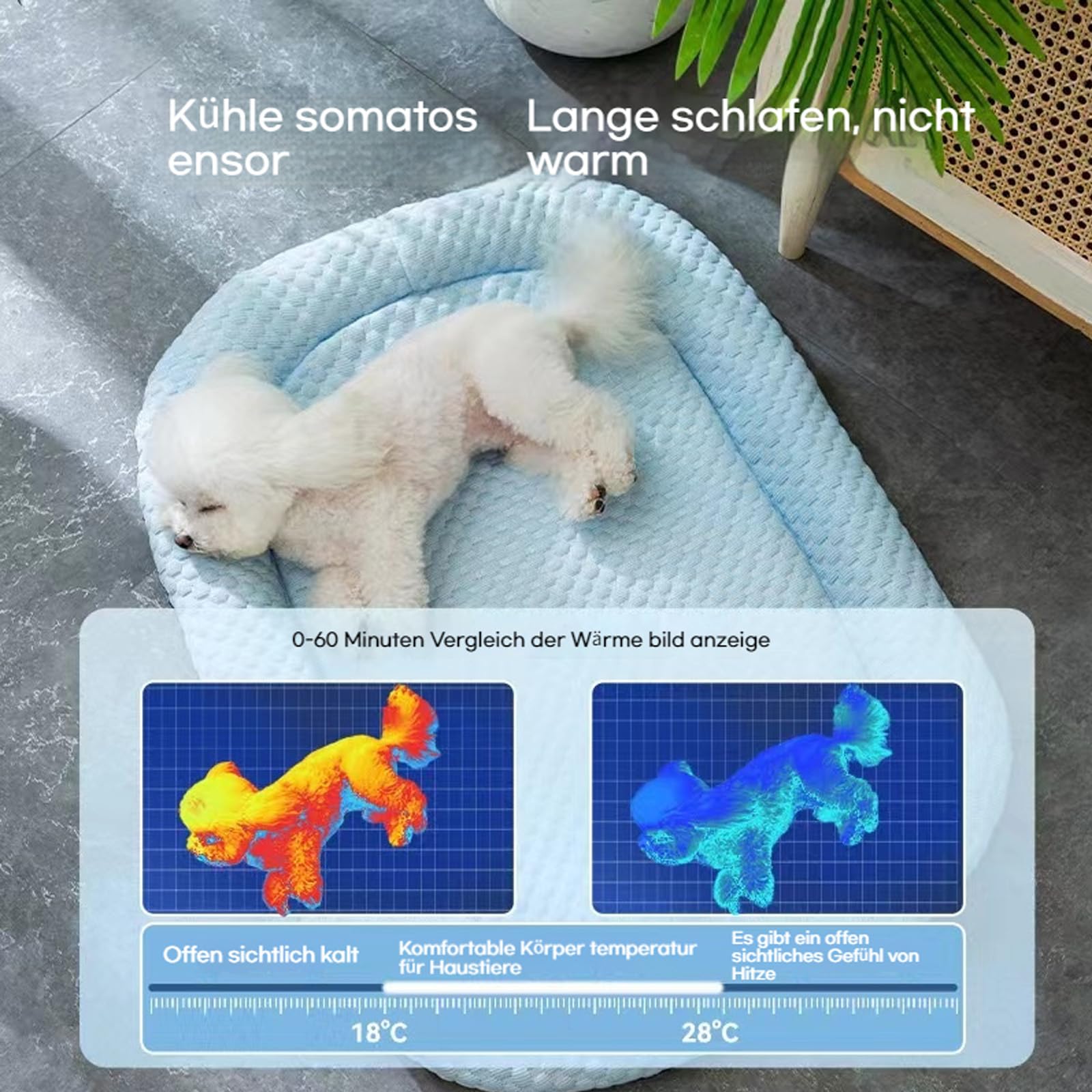 Kühlendes Katzenbett mit Eisseide, Kühlendes Sofabett Hund, Kühlendes Kundebett Sommerkühlung für drinnen und draußen, Der ultimative kühlkomfort für Deine Katze und Hund (Green,L)