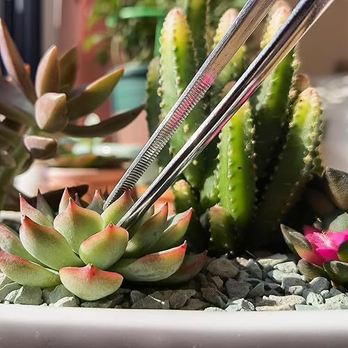 Miniatura 7 de 4 pinzas largas, pinzas rectas y curvadas de acero inoxidable de mango largo, juego de pinzas de precisión con puntas dentadas, herramientas de