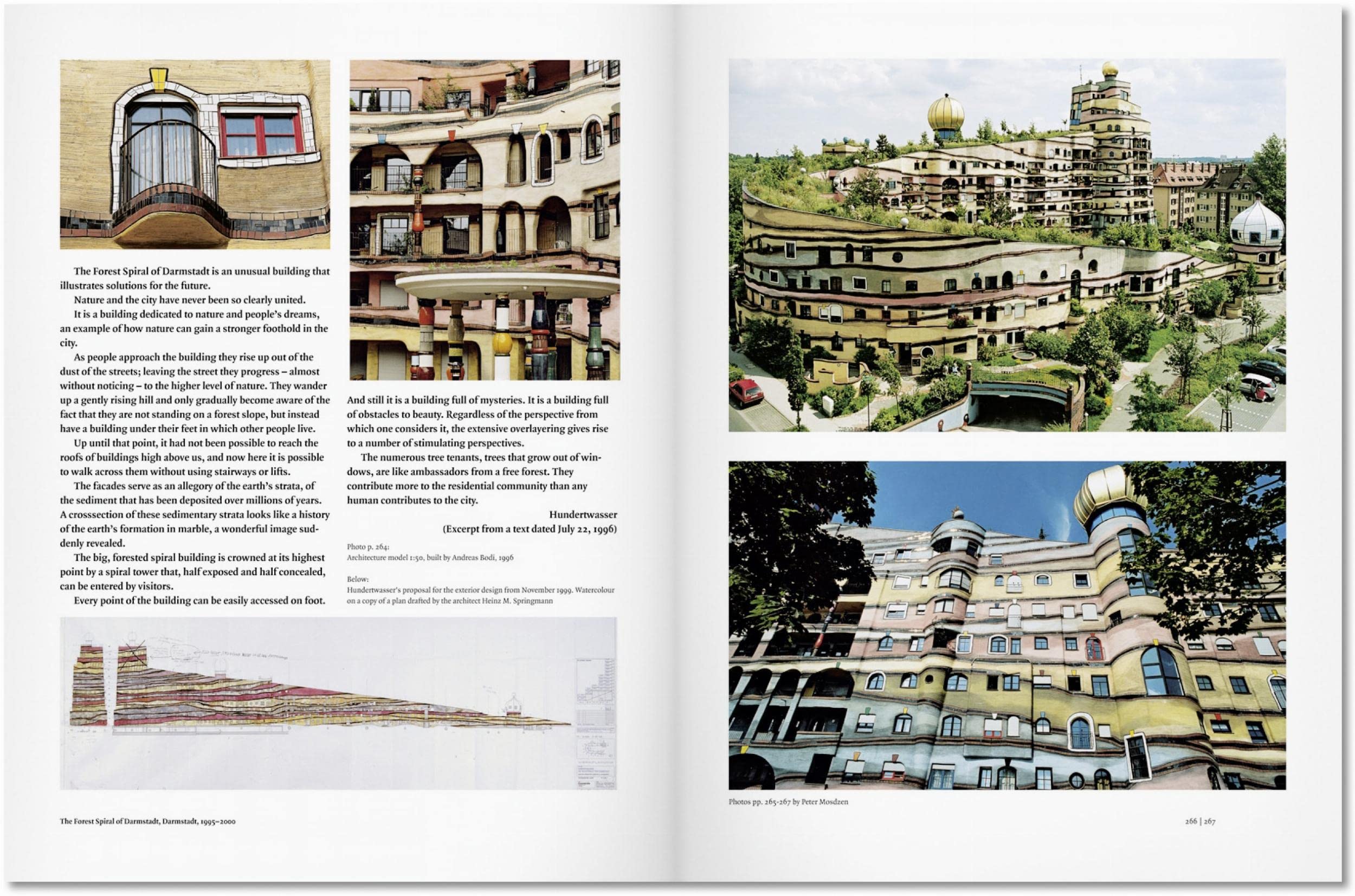 Hundertwasser. Architecture (Jumbo)