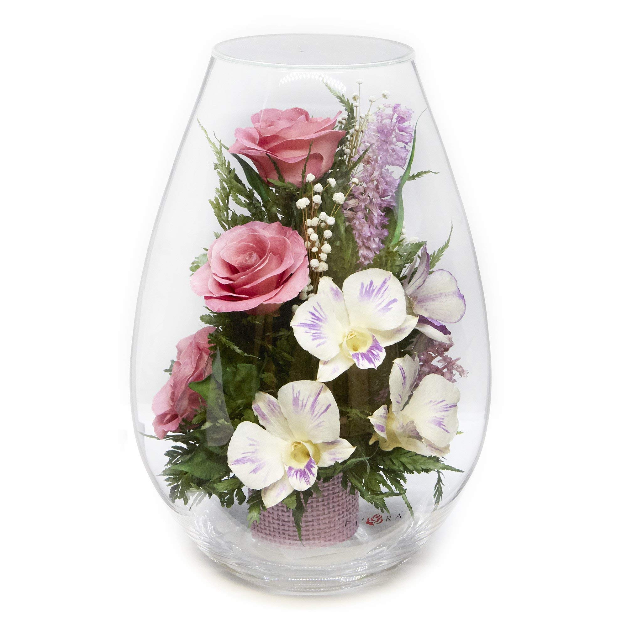 Fiora Flower | Long Lasting Real Roses and Orchids | Lasts up to 5 Years | Anniversary Floral Arrang