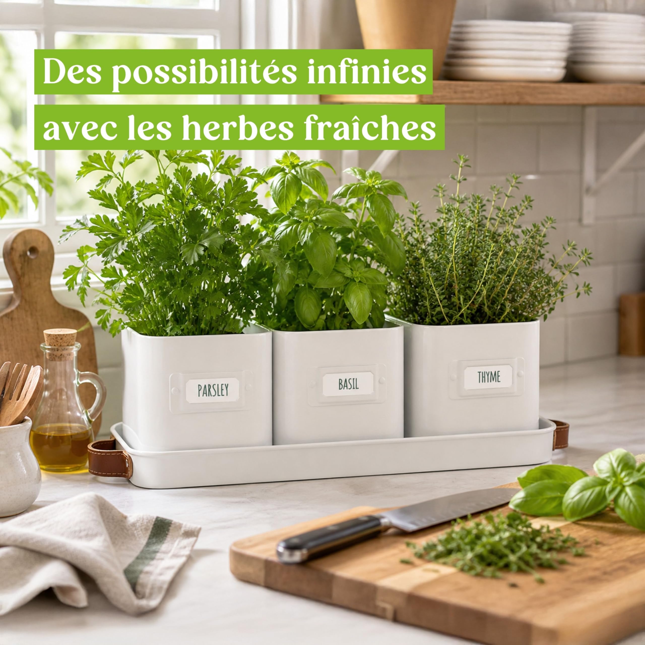 Green Thumbz Jardinière Herbes Aromatiques avec Poignée en Cuir - Idéal pour Basilic en Pot Herbes Aromatiques à Planter - avec Bac de Récupération et Trou de Drainage (Blanc)