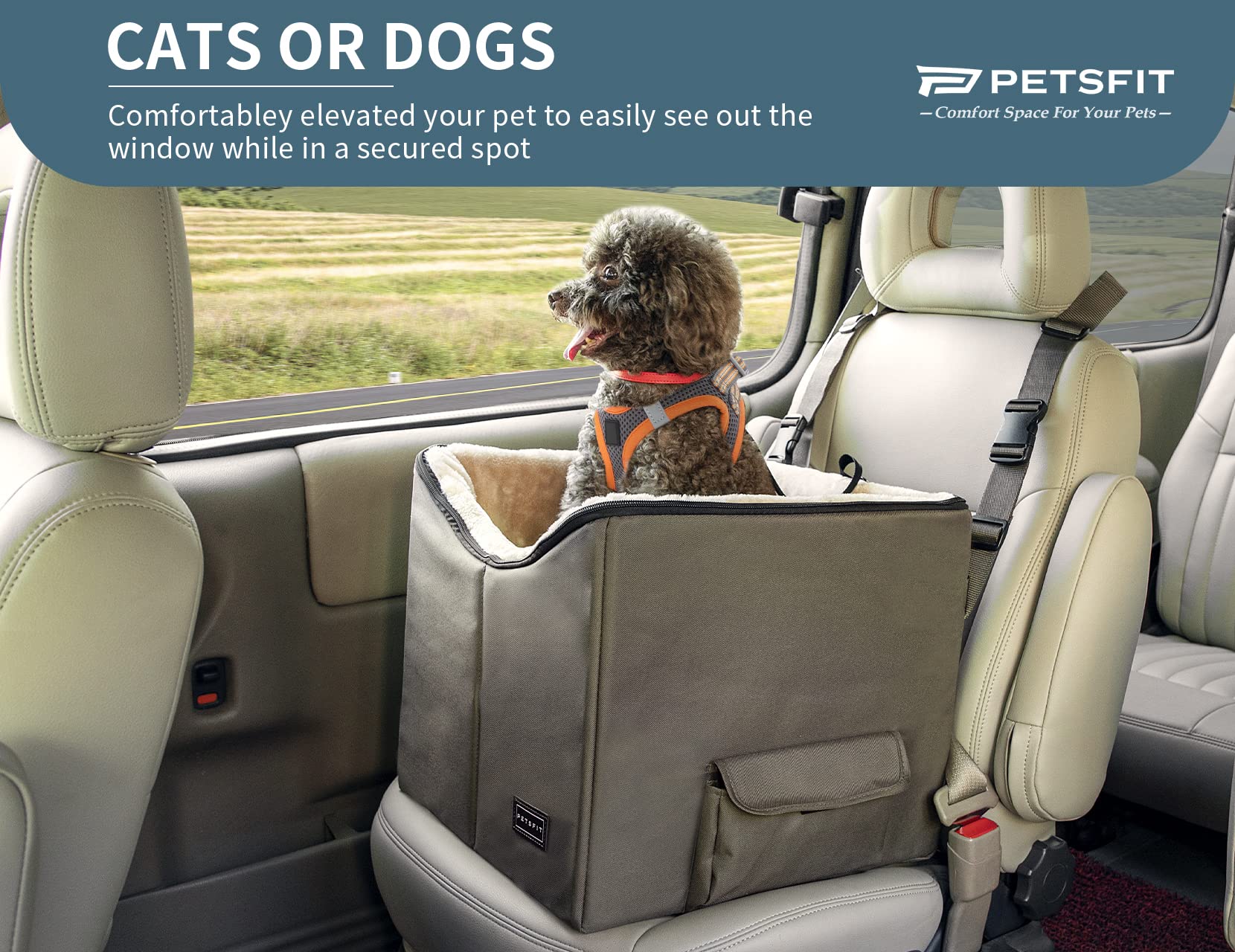 Petsfit Fotelik samochodowy dla małego psa z pasem bezpieczeństwa, praną poduszką dwustronną