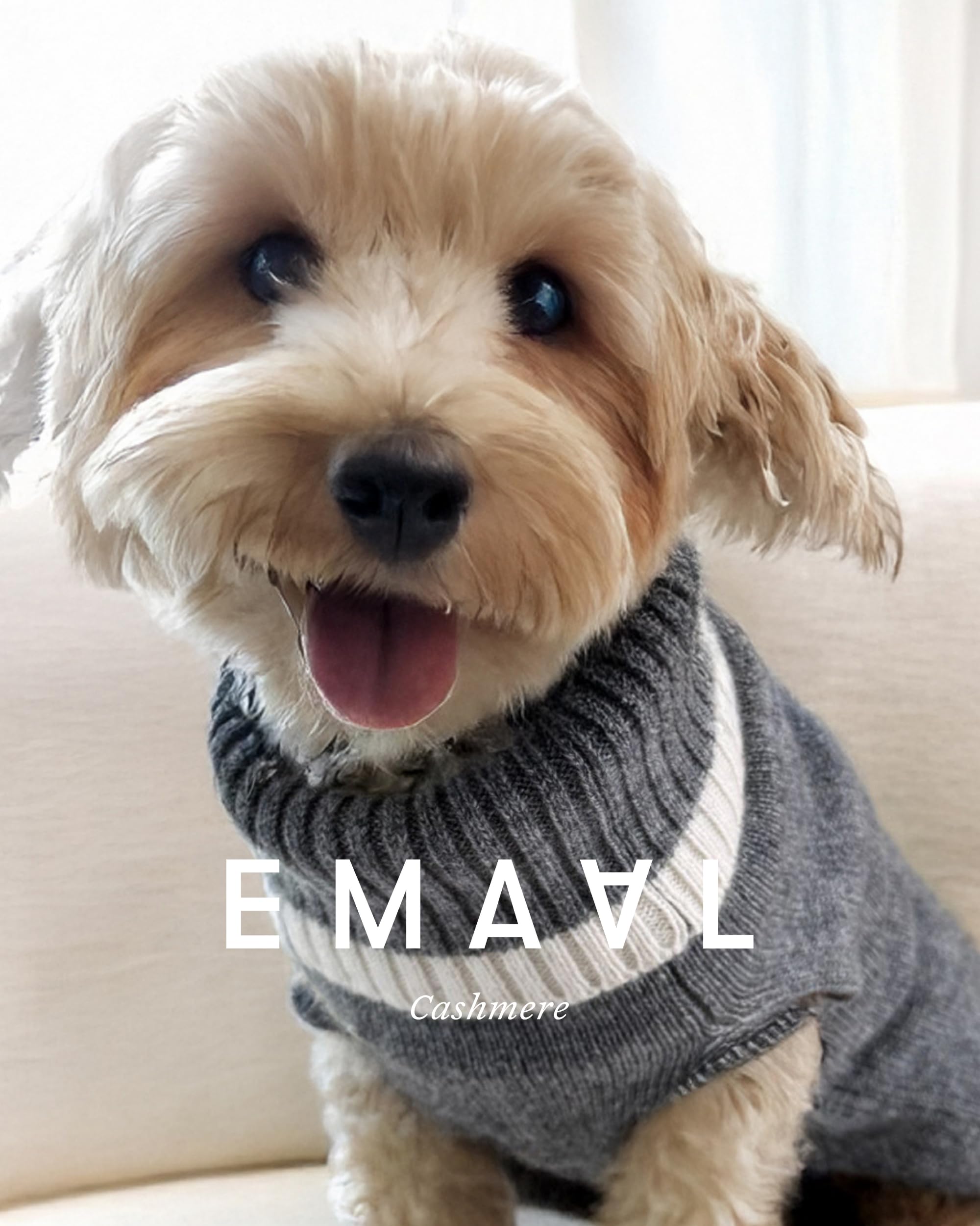 EMAAL 100% Kaschmir Hundesweater Colorado, Grau, Weiss, Gestrickt, für kleine Hunde bis 35 cm Rückenlänge, warm, bequem, für jedes Fell, für kühle Spaziergänge oder gemütliche Abende zu Hause
