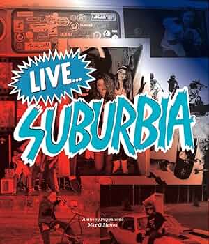 ＴＨＥ　ＮＥＷＳＰＡＰＥＲ　ＬＩＶＥ　２０１４ [DVD] qqffhab THE NEWSPAPER LIVE 2014 [DVD] qqffhab