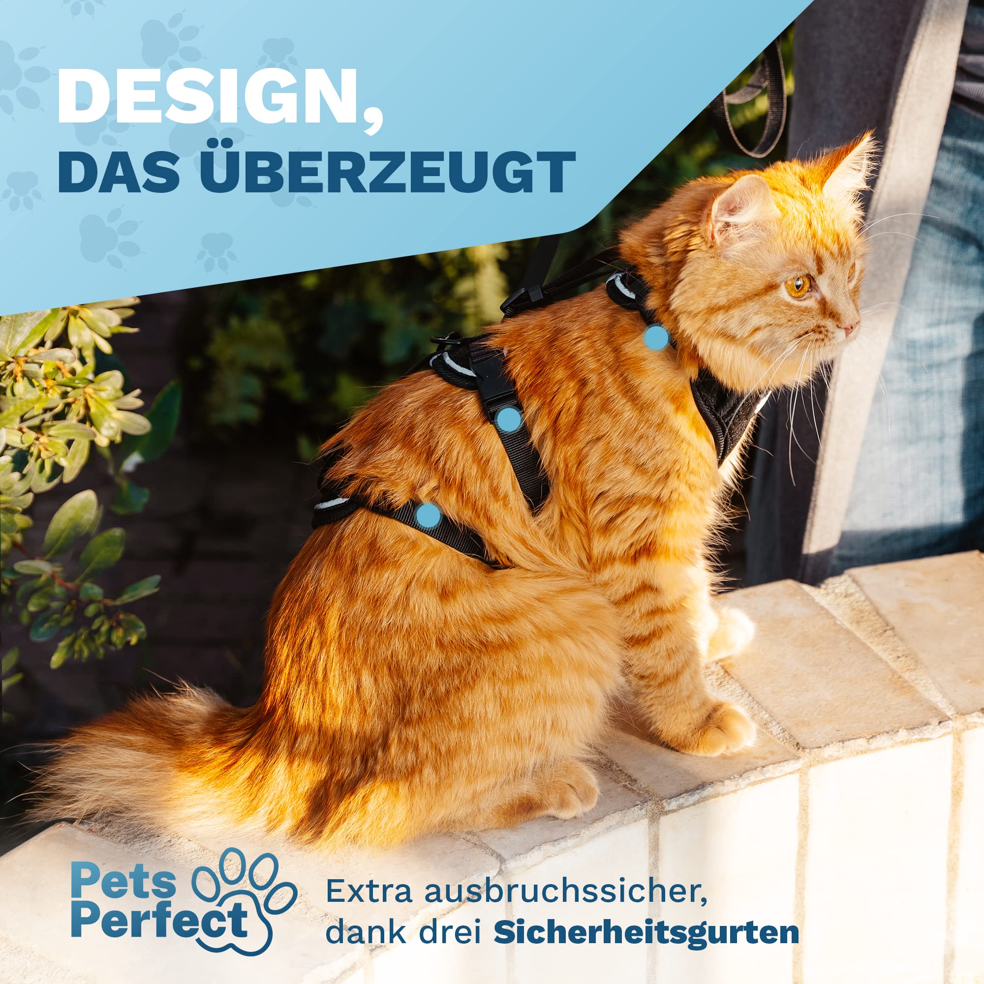 Arnés para gatos – Arnés resistente con correa para paseos seguros (XS, Negro, Rayas)