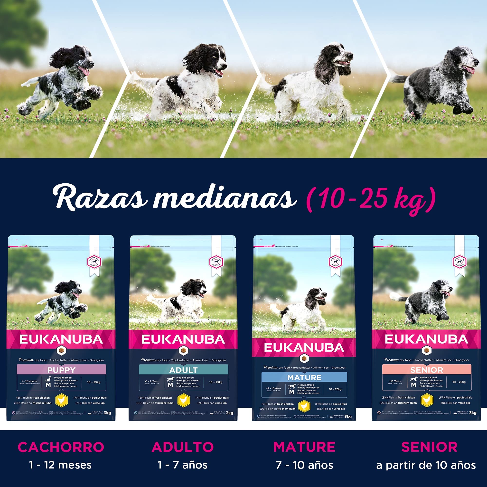 Eukanuba Alimento seco para perros viejos de razas medianas con pollo 15 kg