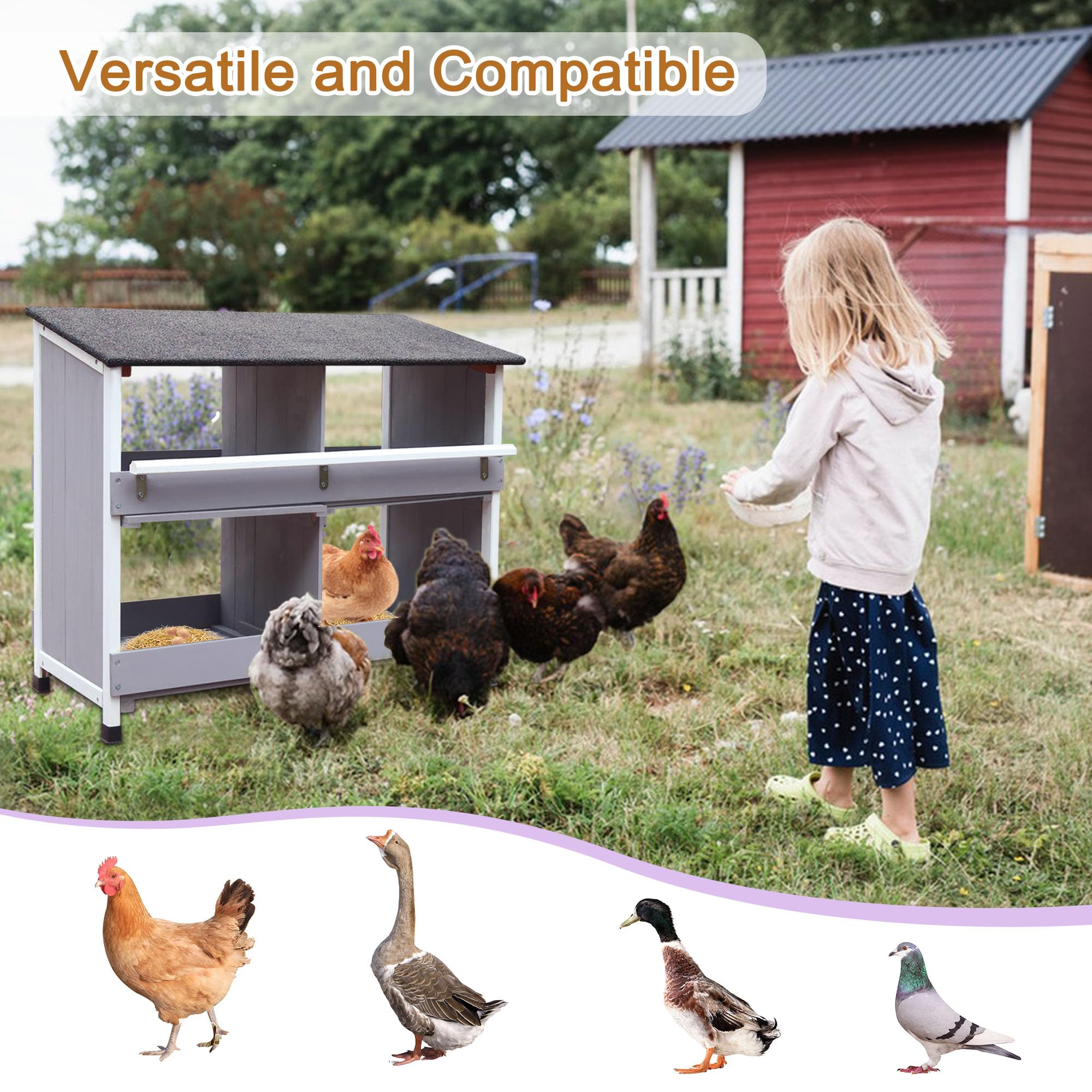 Nido para pollos, con base inclinada, con orificios de ventilación, fácil limpieza, 4 compartimentos, 79 x 52 x 43,5 cm, cámara de puesta