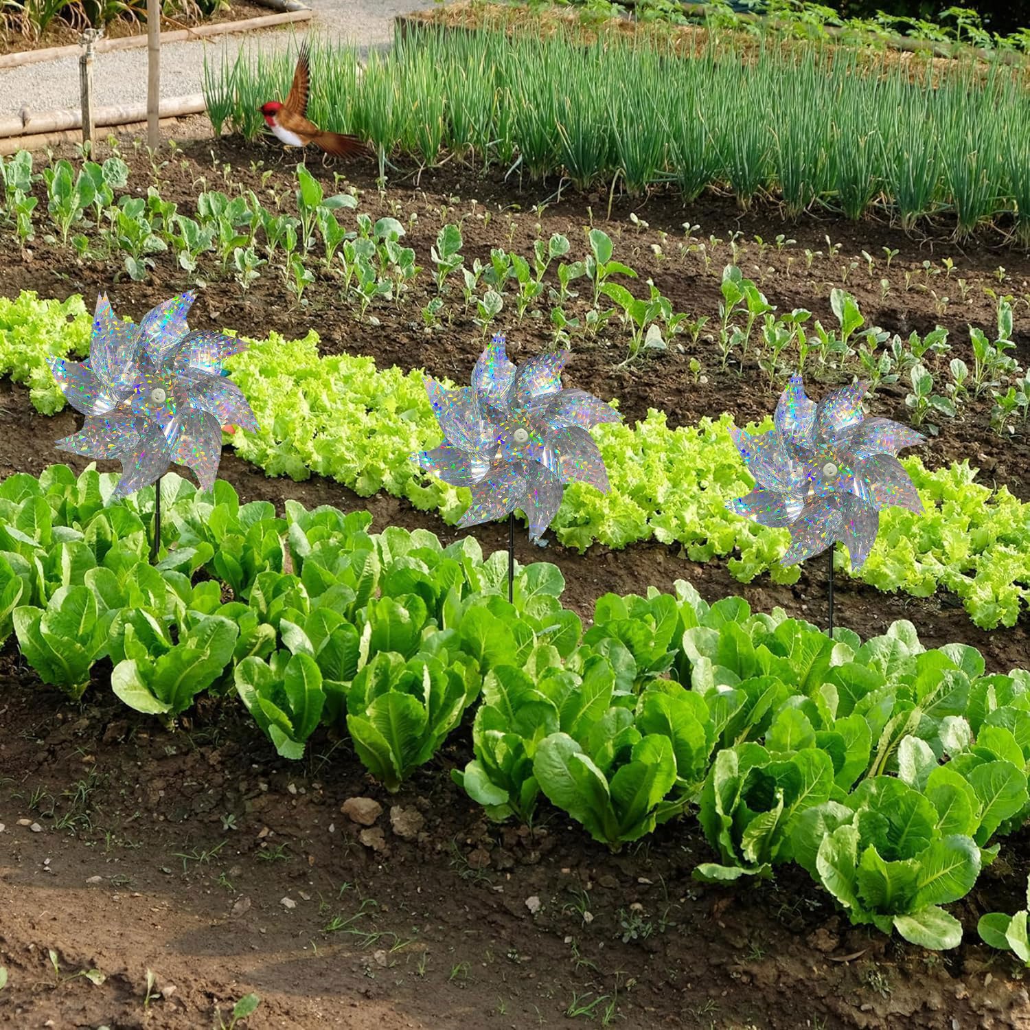 ERBO 5 molinillos de viento, antipalomas para balcón, molinillo de viento, jardín, ruedas reflectantes, espantapájaros para balcón, jardín, patio, huerto (plata)