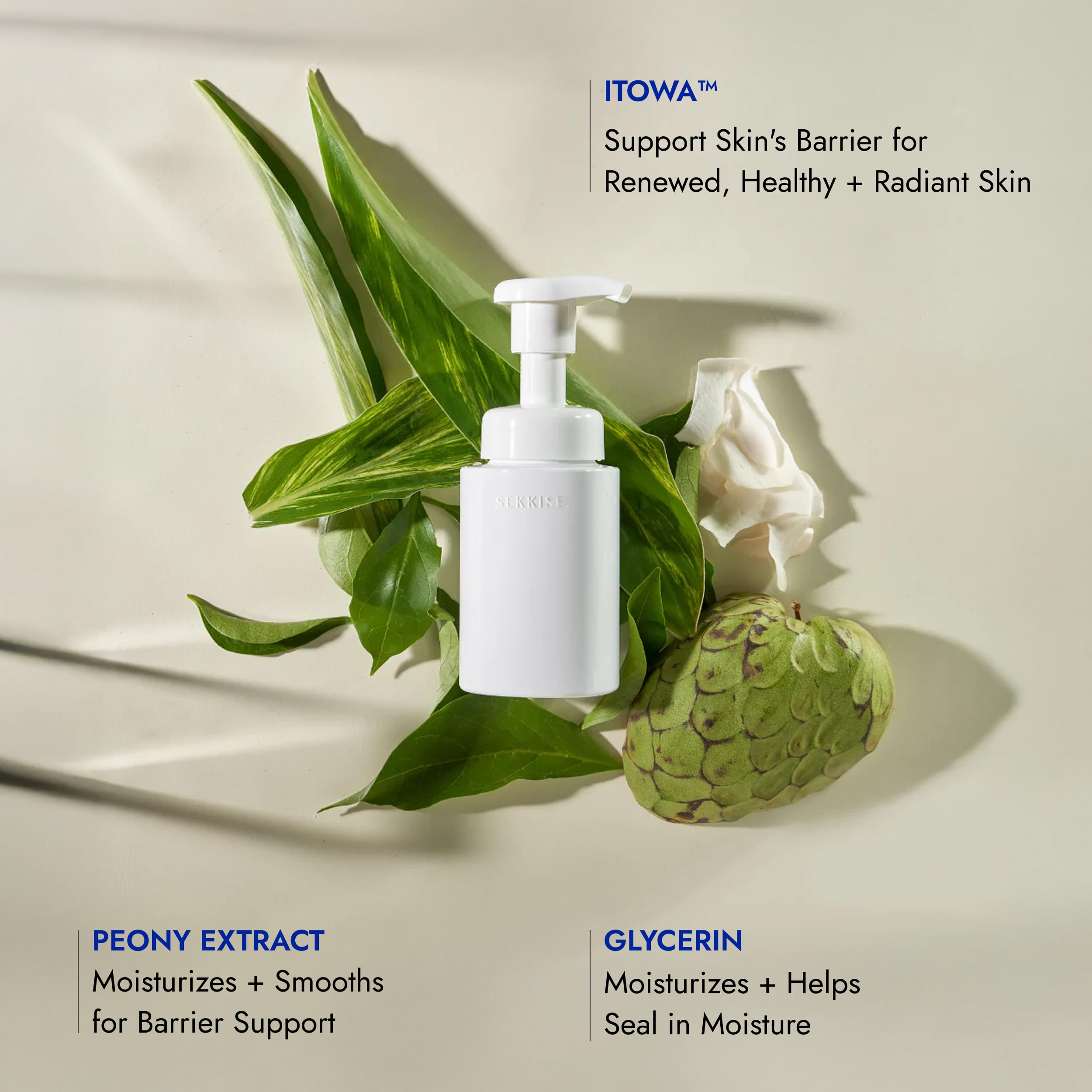 Amazon.com: SEKKISEI CLEAR WELLNESS Gentle Wash, Facial Cleanser