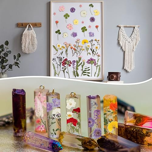 Miniatura 6 de Flores prensadas de resina para molde de resina, hojas de flores secas de margaritas reales naturales con pinzas para álbumes de recortes,