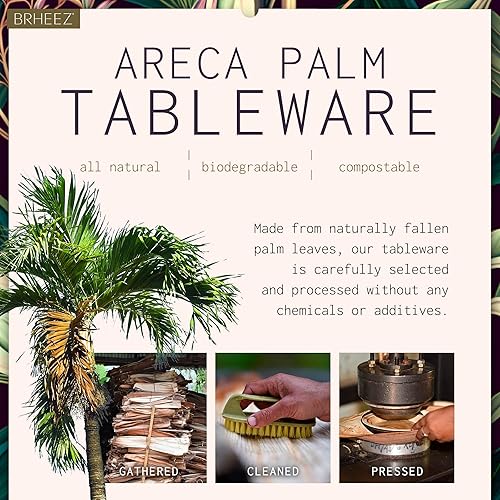 Miniatura 6 de brheez Paquete de 100 cuencos de hoja de palmera de 6 pulgadas, ecológicos, compostables y biodegradables, elegantes cuencos desechables con aspecto