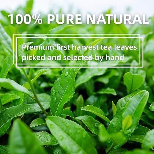 Miniatura 3 de Matcha de grado ceremonial, polvo de té verde matcha orgánico, primera cosecha 100% matcha puro natural (1.06 oz)