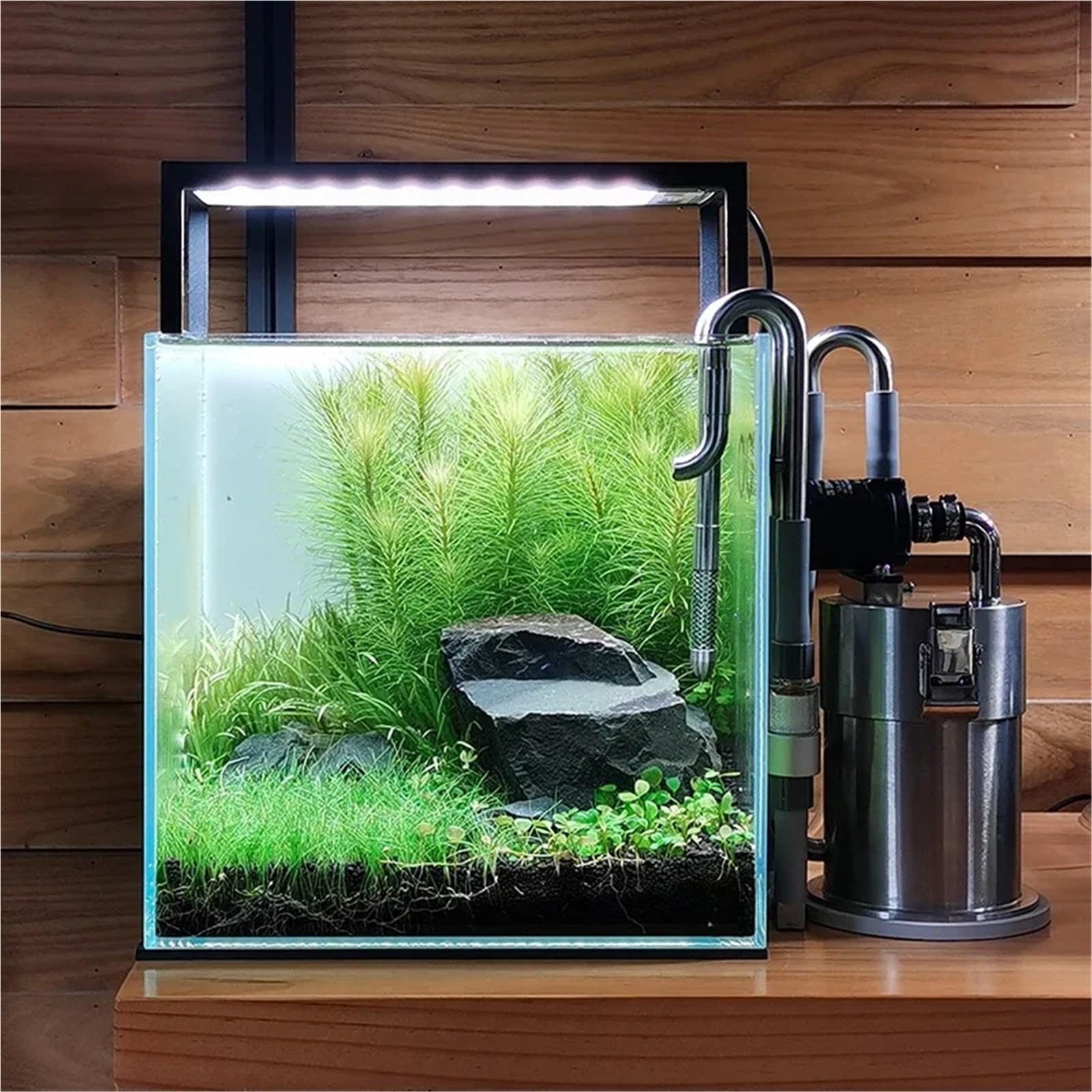 Filtro per Acquario, Filtri for Acquario in Acciaio Inossidabile, Mini Filtro Esterno for da Tavolo con Pompa 'Acqua per Acqua Fredda(ES150mini)