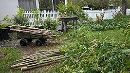 Review Image by Victor