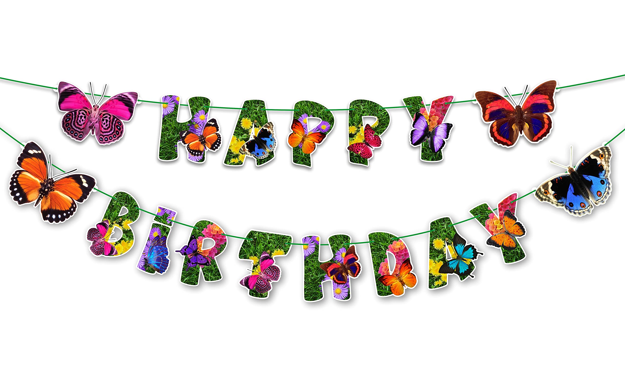 Décorations De Fête Papillon, Décorations De Burundi