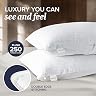 Beckham Hotel Collection Bed Pillows  thumbnail 3