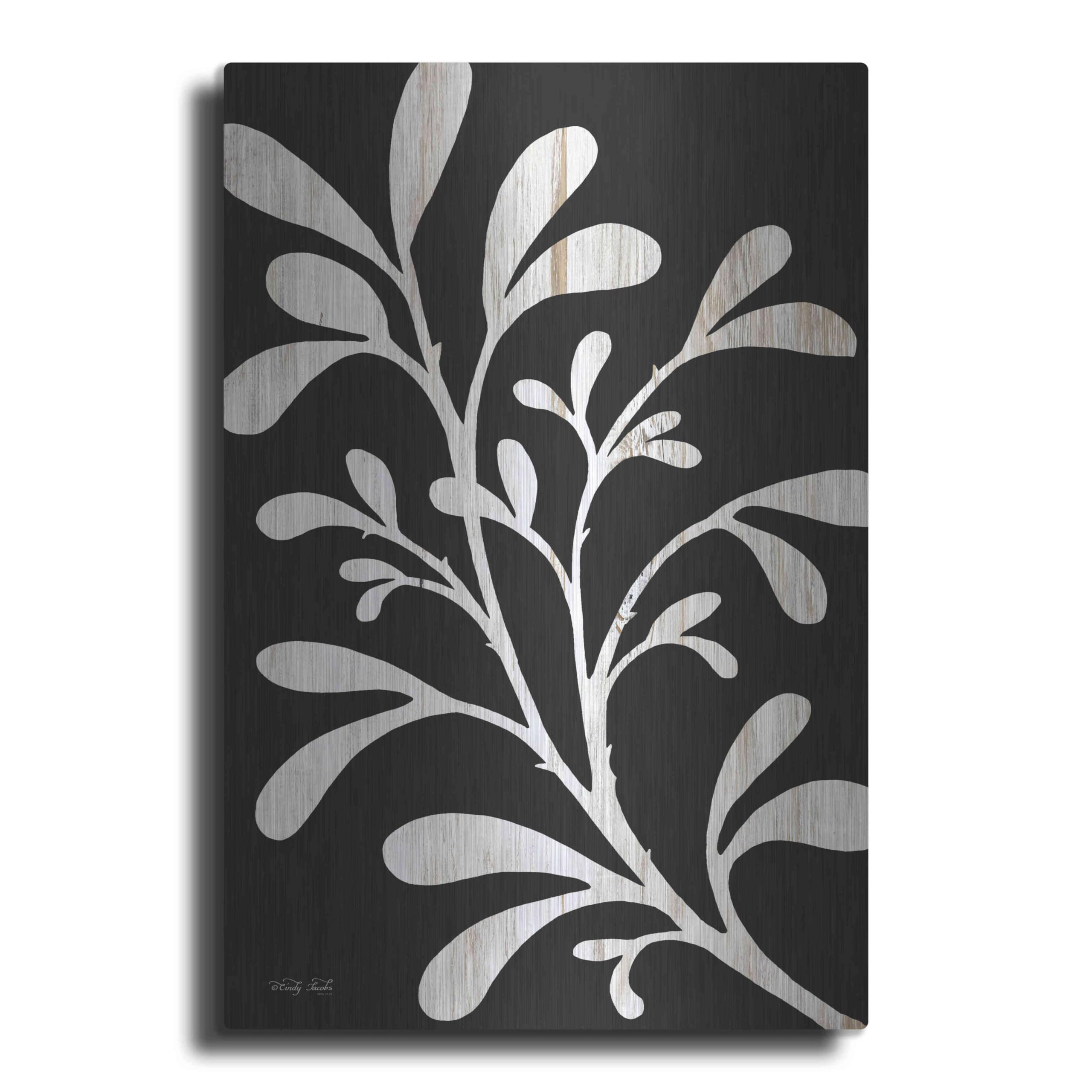 Branch on Black II' by Cindy Jacobs, Metal Wall Art, 12"x16"