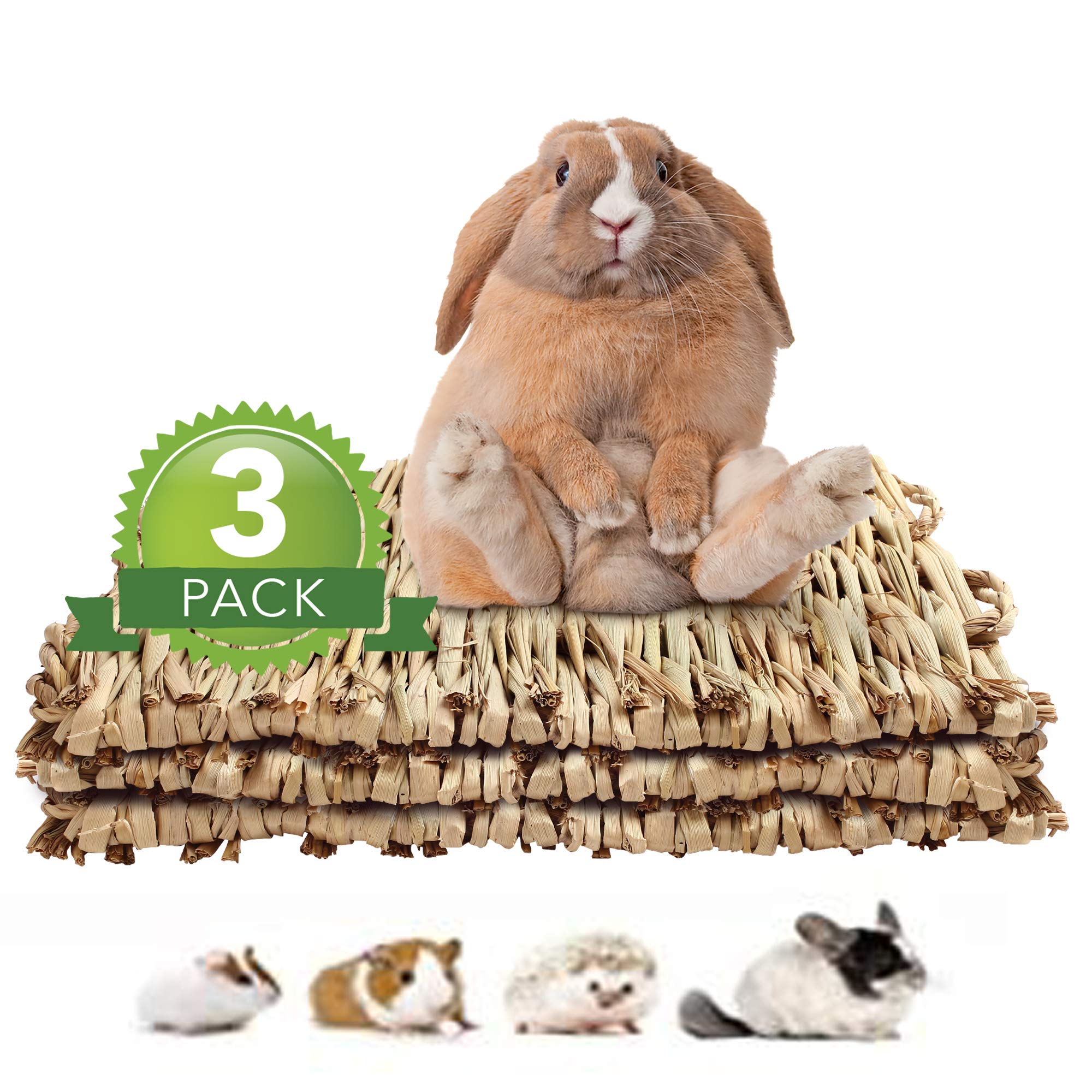 Prime Pets 3Pack Grass Mat Woven Bed Mat for Small Animal Bunny, Natural Straw Bedding Nest Chew Toy Handmade Bed Play Toy for Guinea Pig Parrot Rabbit Bunny Hamster Rat