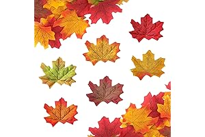 Bag of Fall Leaves: Your Autumn Extravaganza