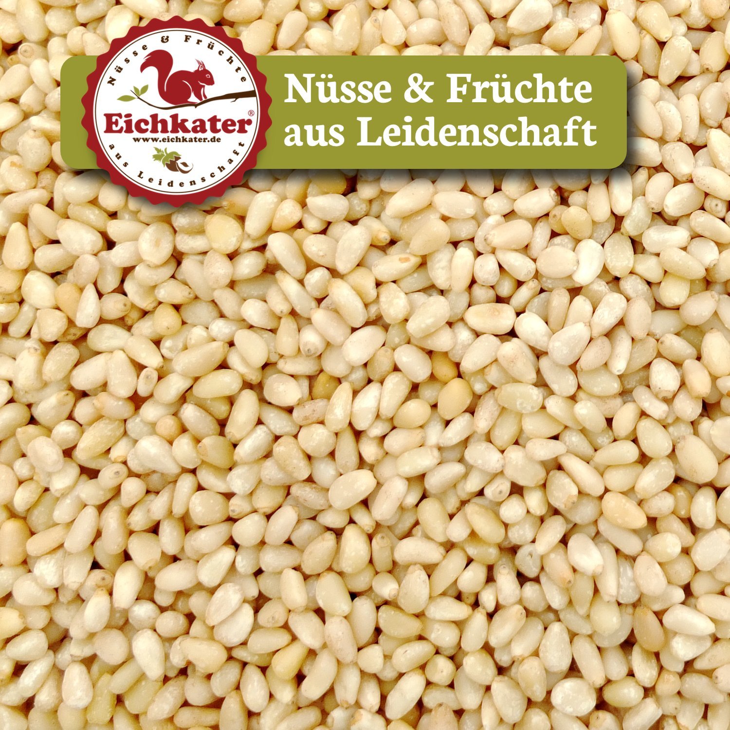 Eichkater Pinienkerne Medium 2er-Pack (2x250g)