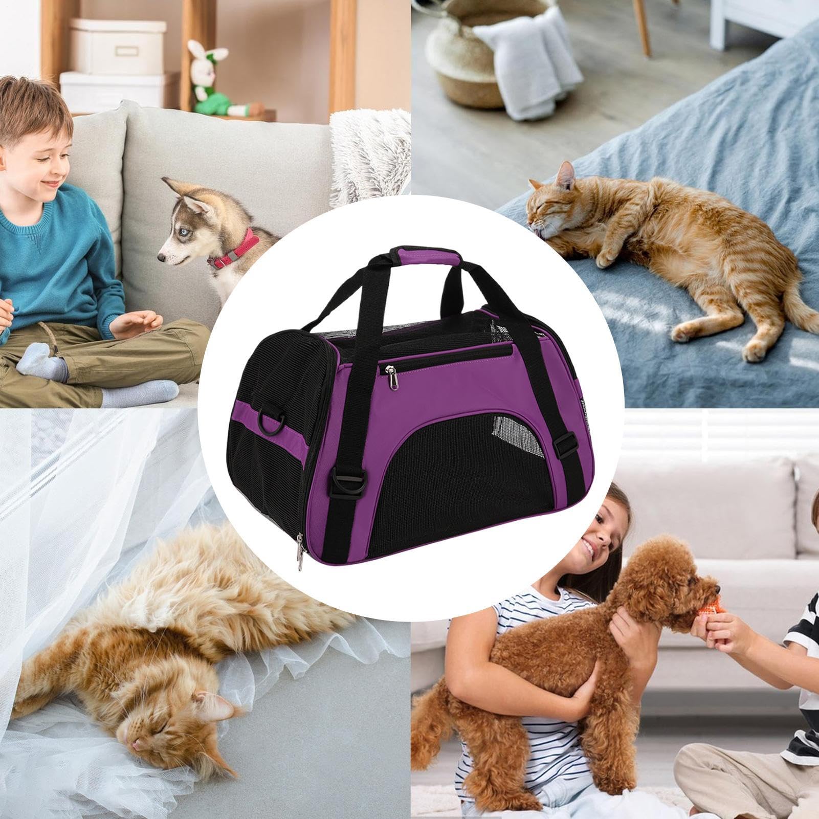 Transportín para Perros,Caja Transportadora para Gatos | Transportín Portátil Ergonómico Y Transpirable para Senderismo, Exteriores, Paseos Y Camping para Mascotas