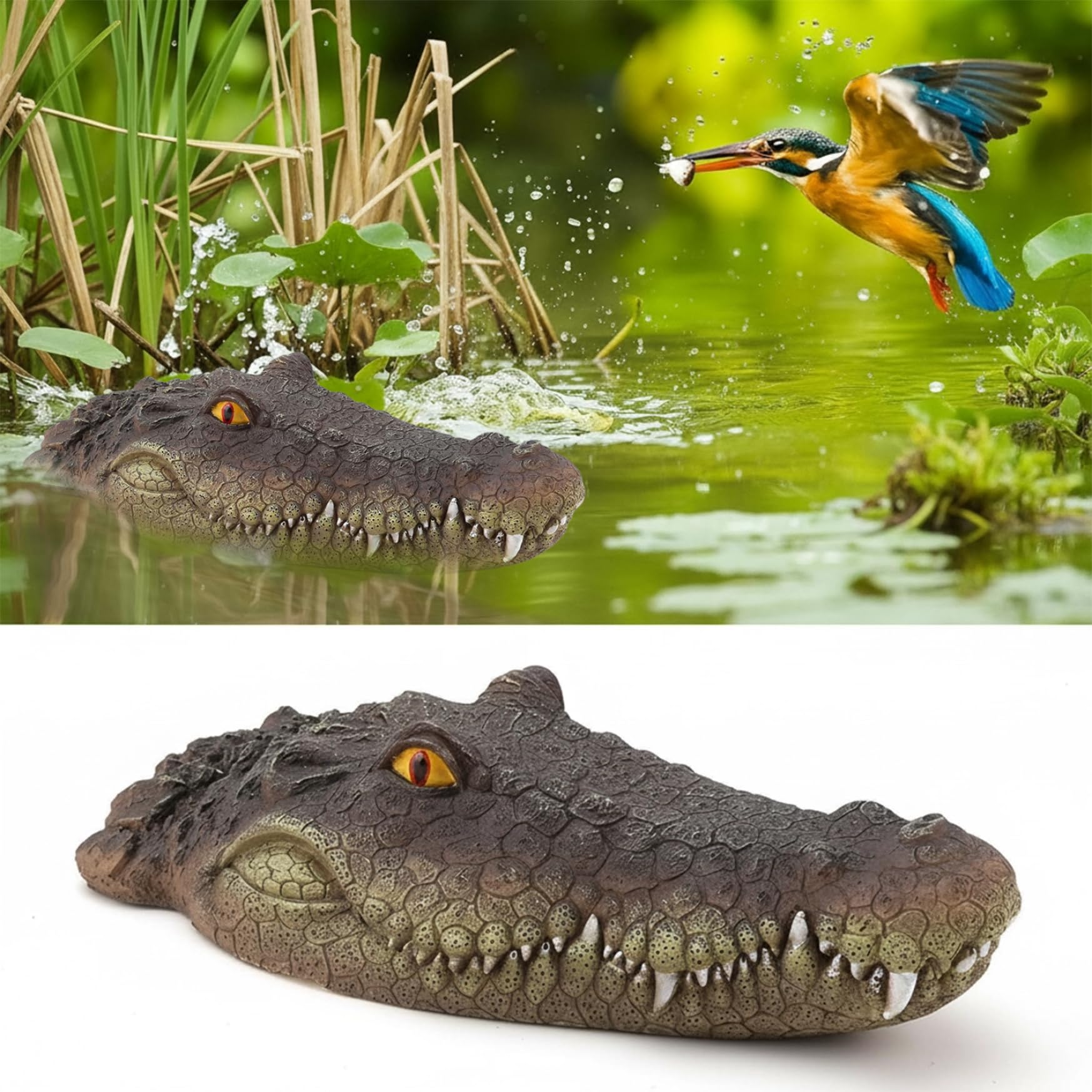 Statue tête d'alligator : protégez et décorez votre bassin